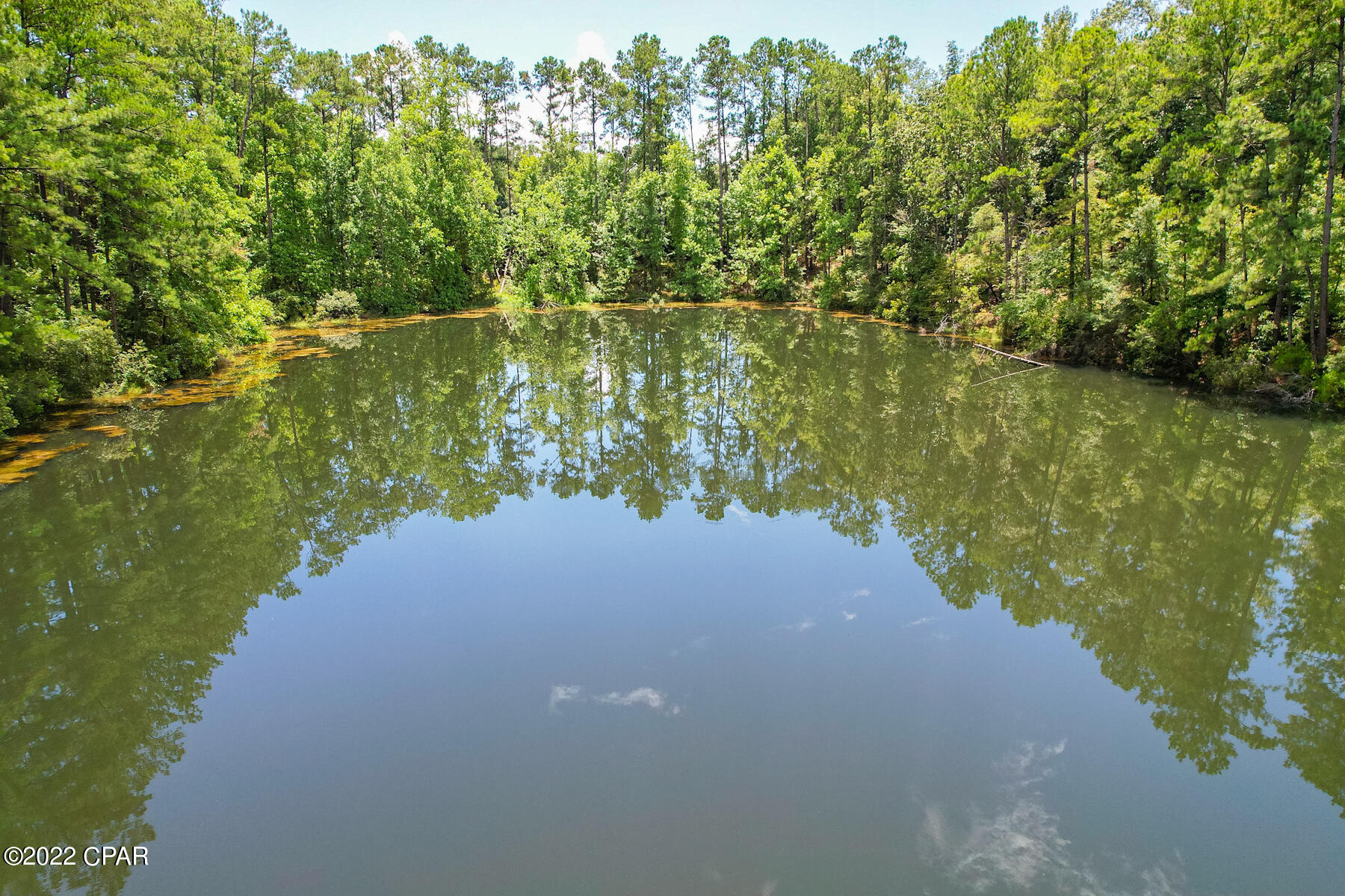 3398 Corgi Lane Chipley, FL 32428 - Photo 20 of 53 Gallery Image 20