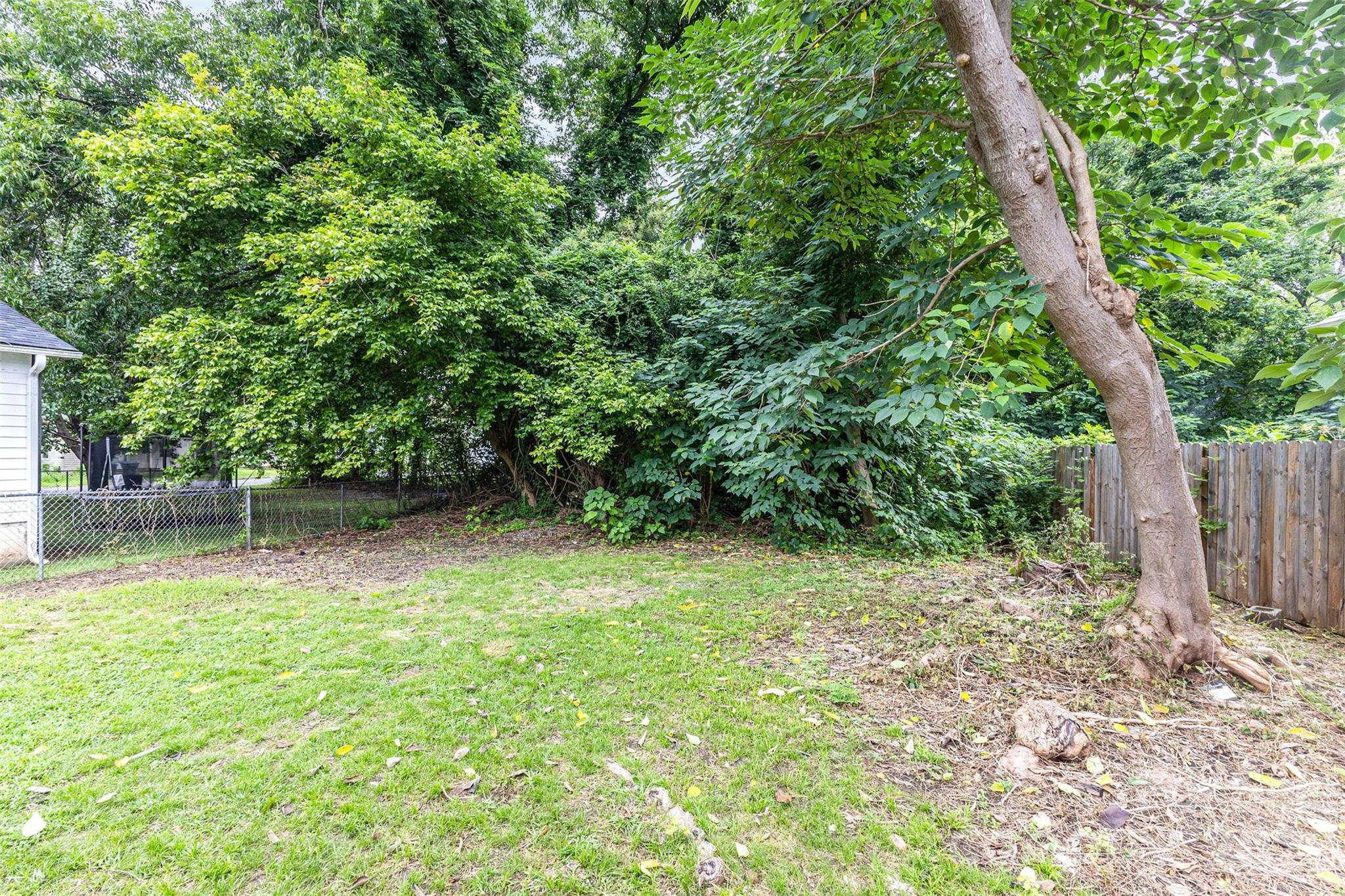 664 Simpson Street Rock Hill, SC 29730 - Photo 20 of 23 a backyard of a house with lots of green space and fountain
