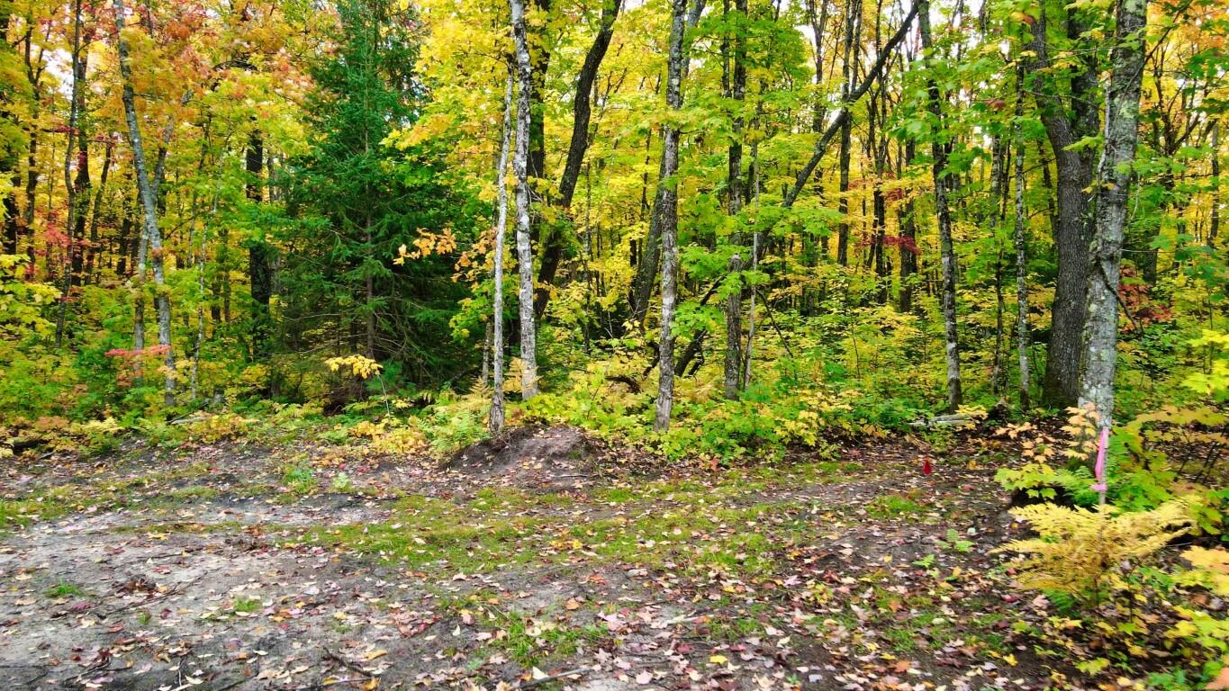 2029 Carpenter Lake Road Seney, MI 49883 - Photo 31 of 35 Gallery Image 31