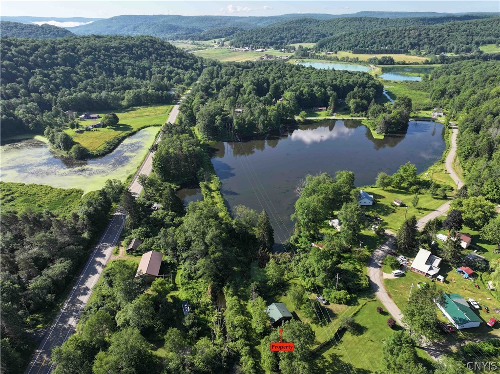 108 Linlyco Lake Road New Albion, NY 14719 - Photo 6 of 42