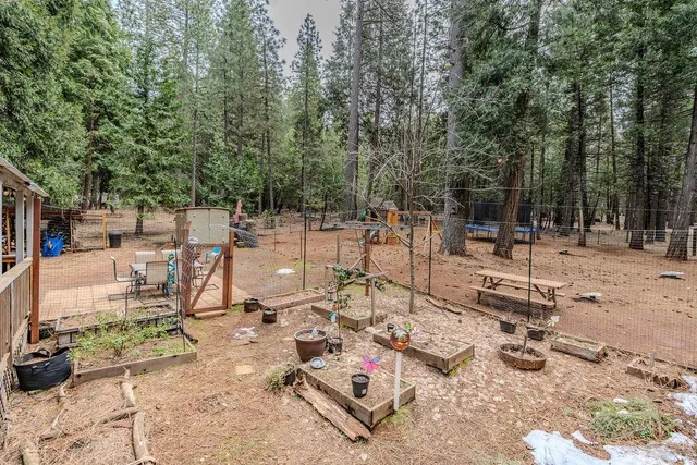 $395,000 | 25150 Overland Drive, Volcano, CA 95689