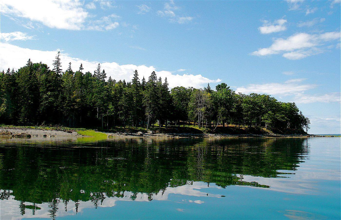 149 Higgins Farm Road Bar Harbor, ME 04609 - Photo 4 of 54 W5-ME3064_4