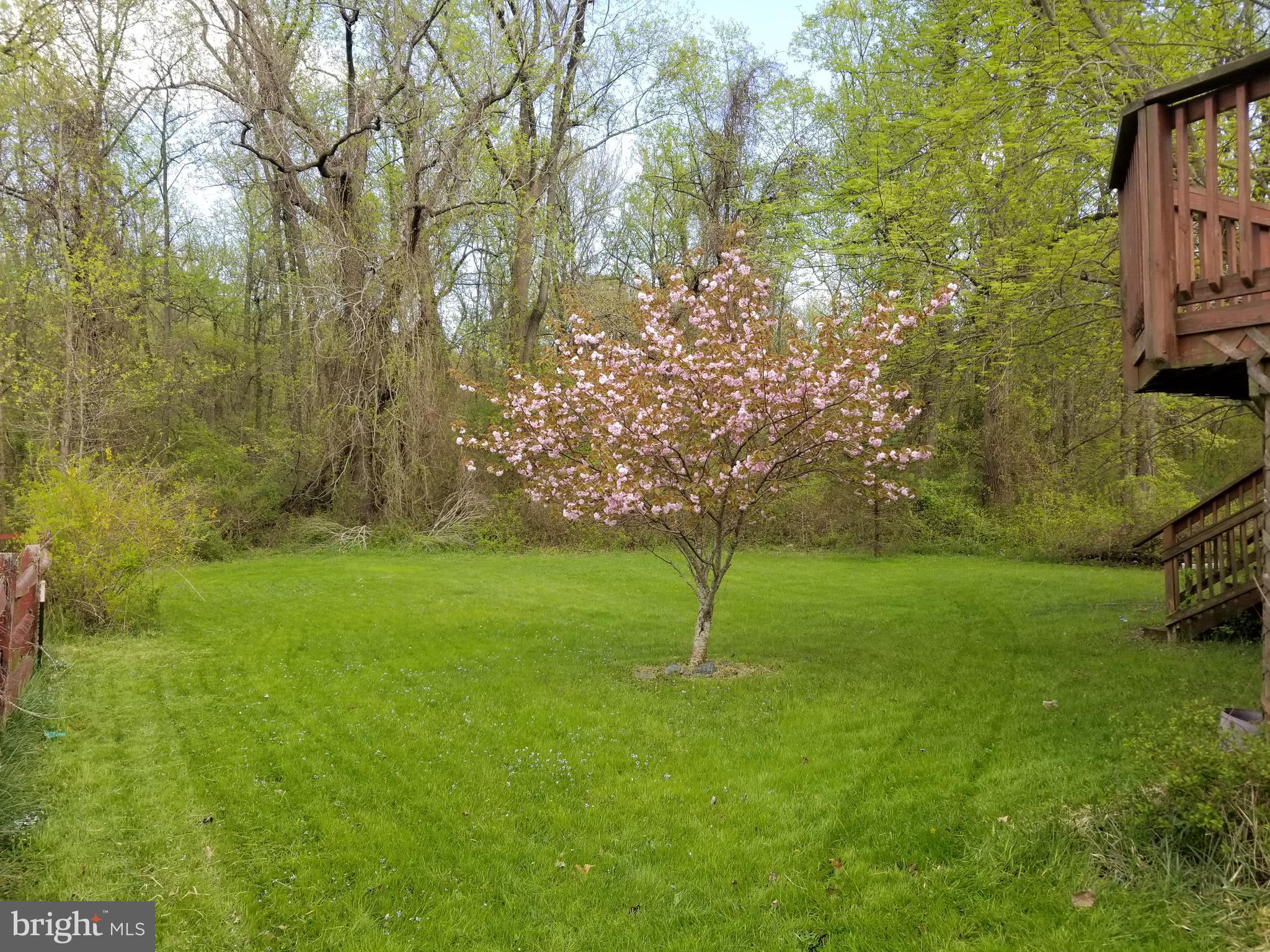507 Silverside Road Edgewood, MD 21040 - Photo 40 of 40 Backyard in spring!