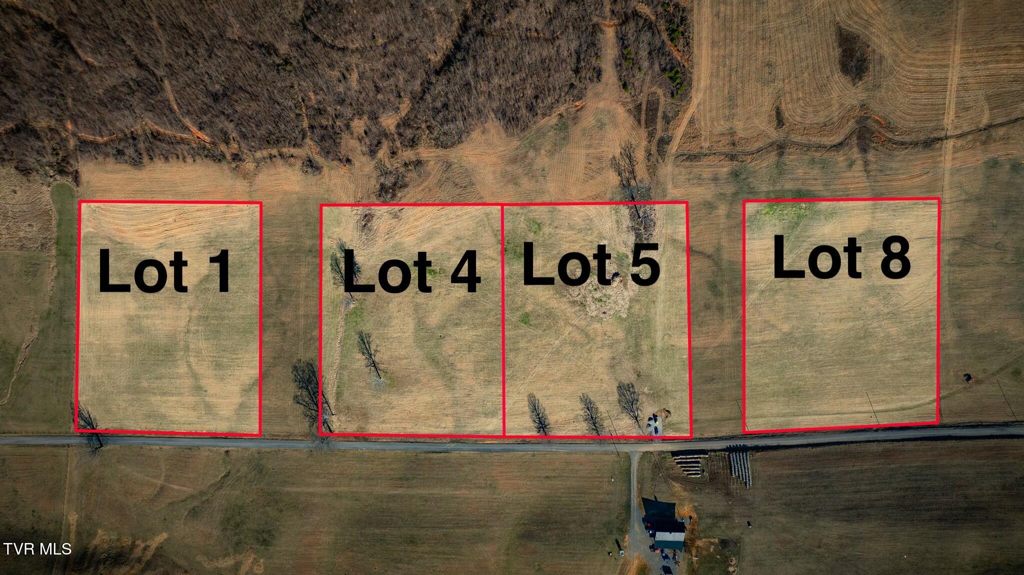 Lot 4 Jackson Road, Unit 4 Fall Branch, TN 37656 - Photo 2 of 24 tempImageYpclfM
