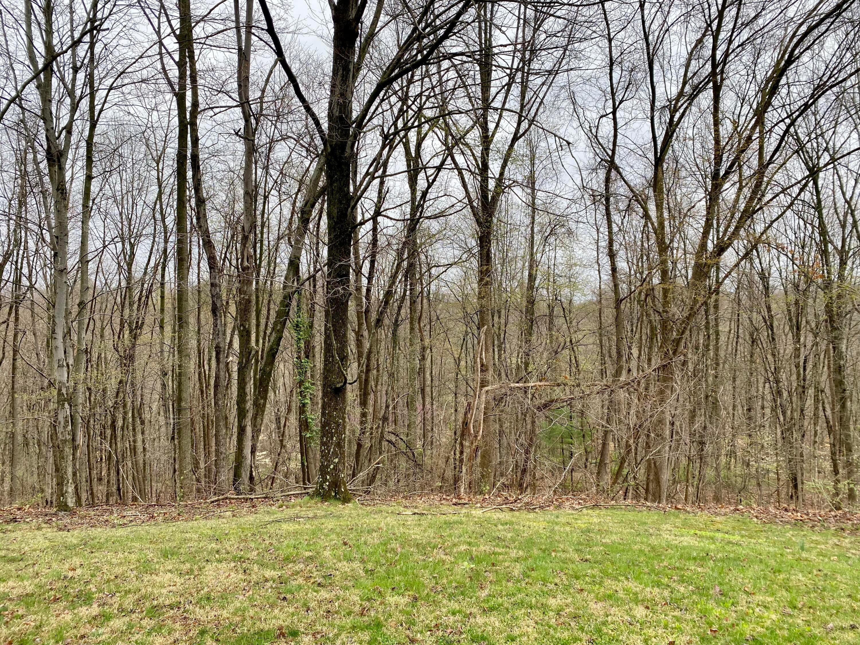 8240 Dozer Ridge Road Philo, OH 43771 - Photo 26 of 28 F3DCB5A3-4C14-4AC5-9EFF-DACC9D51D664