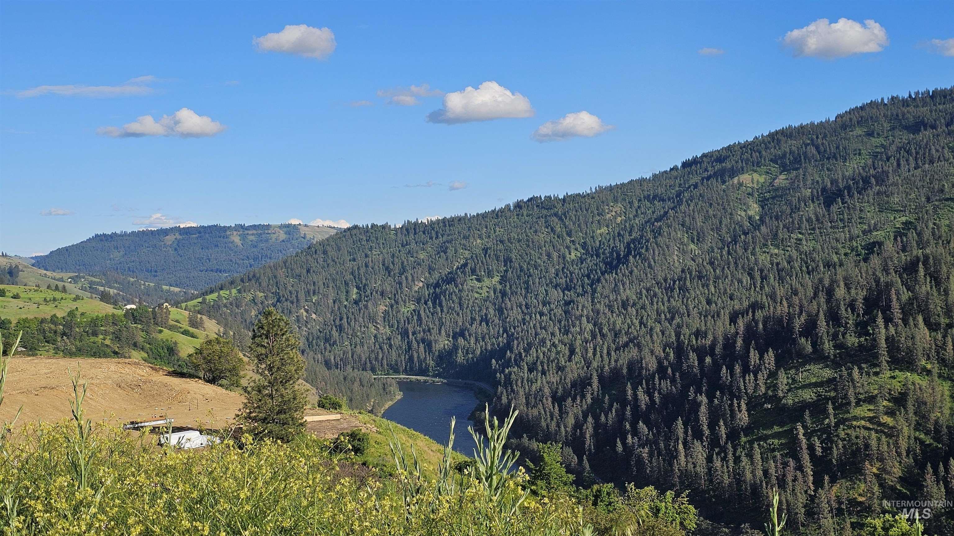 Tbd Lot 5 Tbd Lane Lenore, ID 83541 - Photo 21 of 31