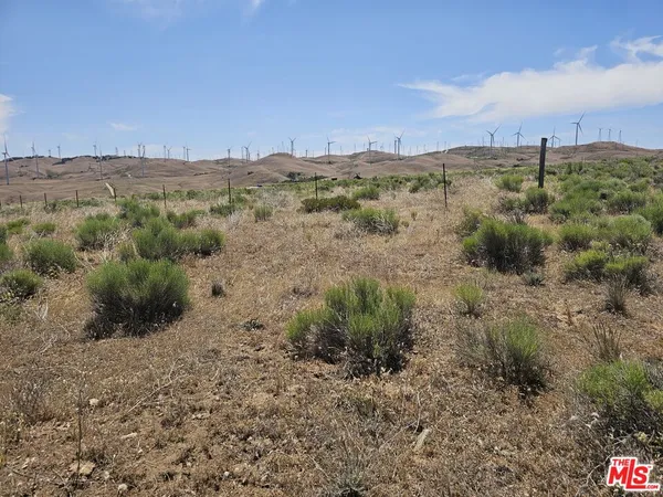 a view of a dry field with trees in background