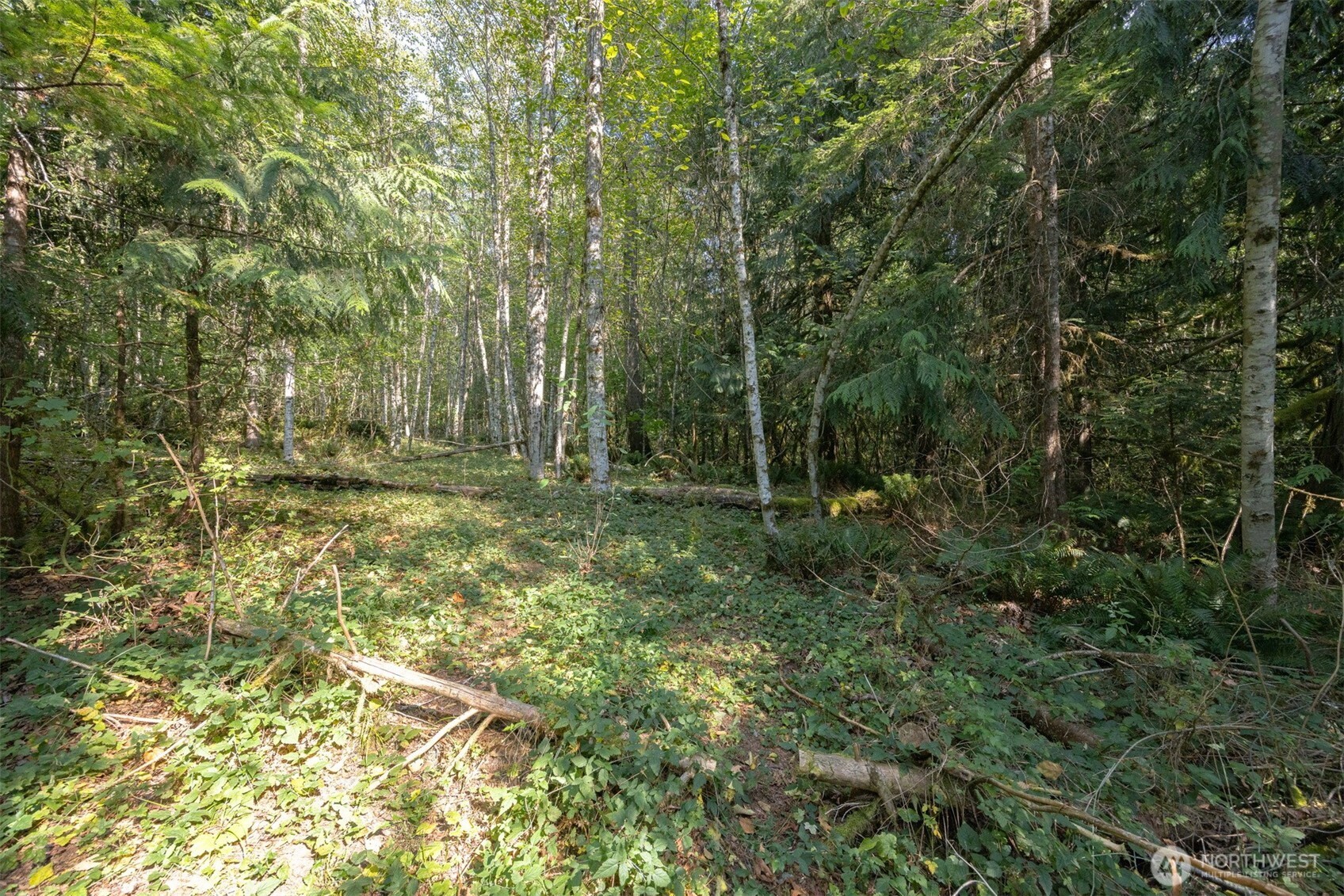 0 Ambridge Road Deming, WA 98244 - Photo 8 of 15 Gallery Image 8