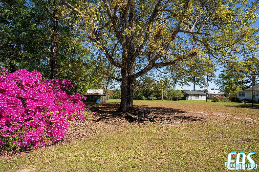 2075 Williston Road Aiken, SC 29803 - Photo 24 of 27 7R308140