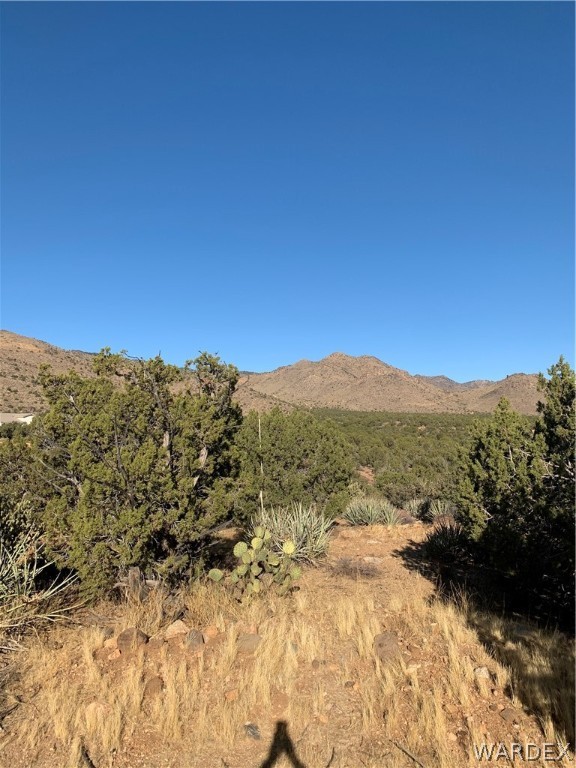 Tbd Jordan Ranch Road Kingman, AZ 86409 - Photo 1 of 13 Gallery Image 1