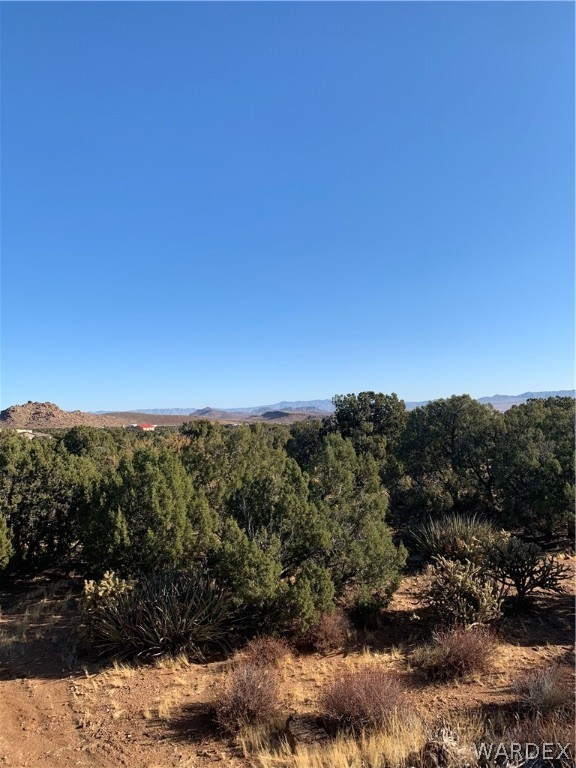 Tbd Jordan Ranch Road Kingman, AZ 86409 - Photo 2 of 13 Gallery Image 2