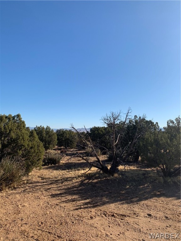 Tbd Jordan Ranch Road Kingman, AZ 86409 - Photo 7 of 13 Gallery Image 7