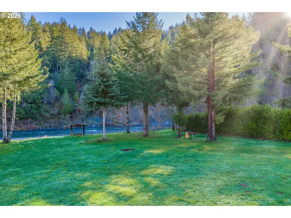 a view of a backyard with large trees
