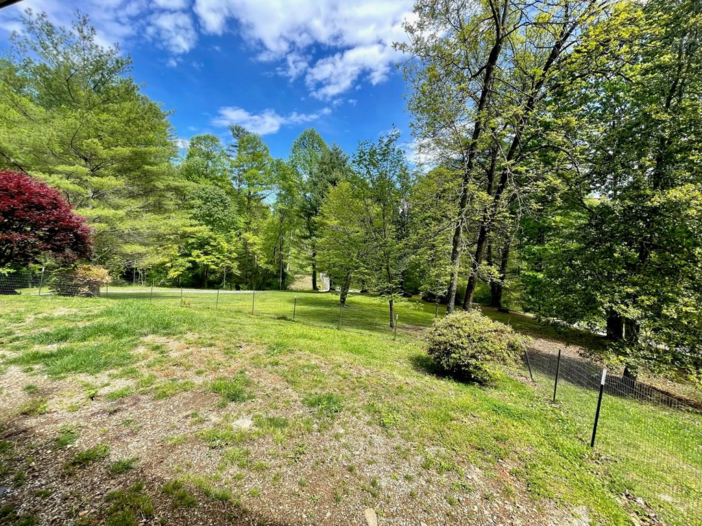 369 Old Colvard Road Robbinsville, NC 28771 - Photo 40 of 46 Gallery Image 40