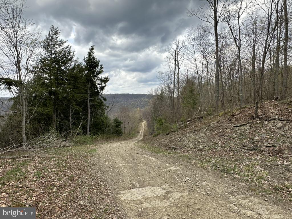 111 Rob Roy Road Bradford, PA 16701 - Photo 38 of 41 Serene path through the woods.