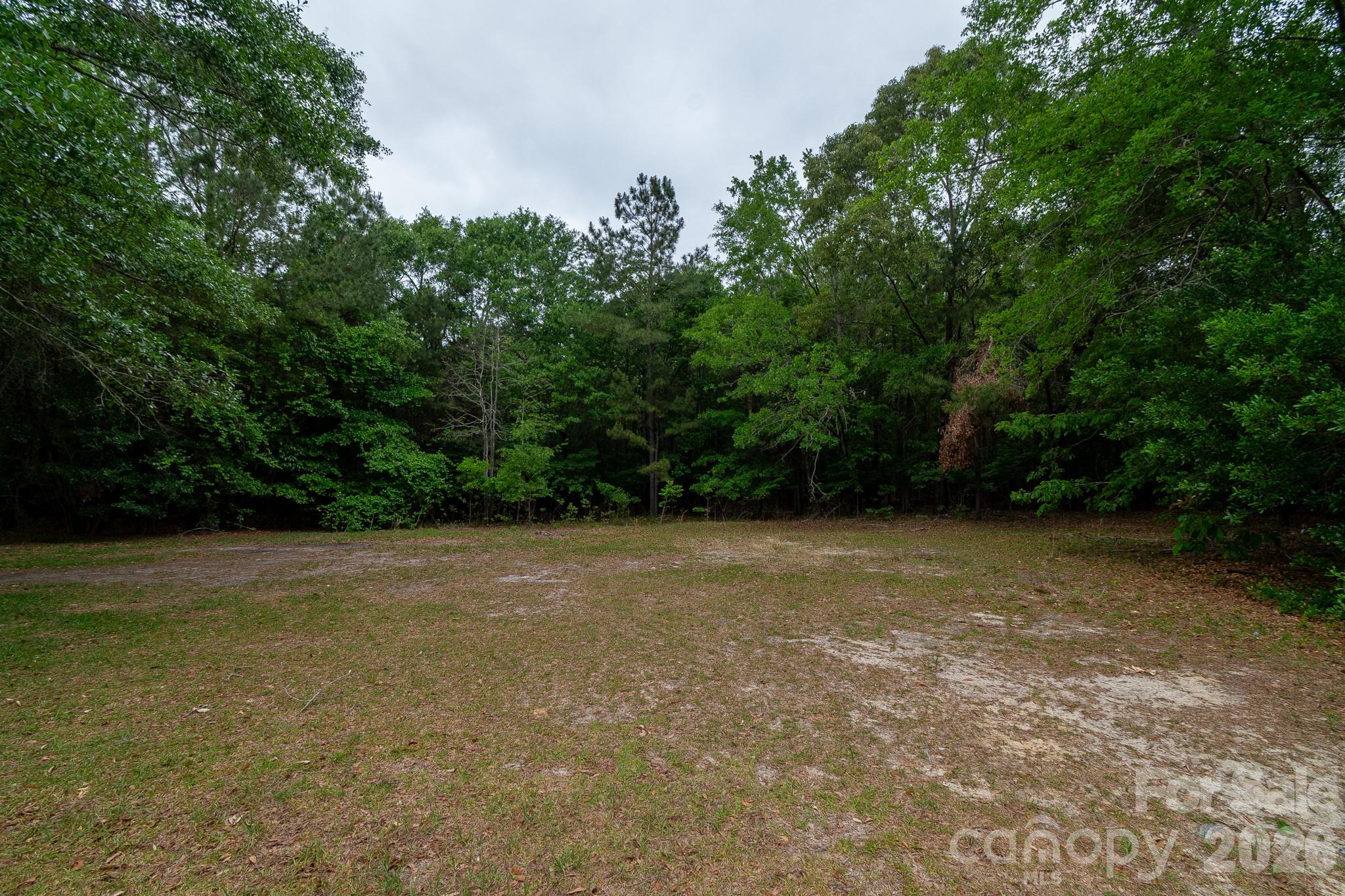 3133 Magnolia Road Bennettsville, SC 29512 - Photo 3 of 41 a view of a field with trees in background