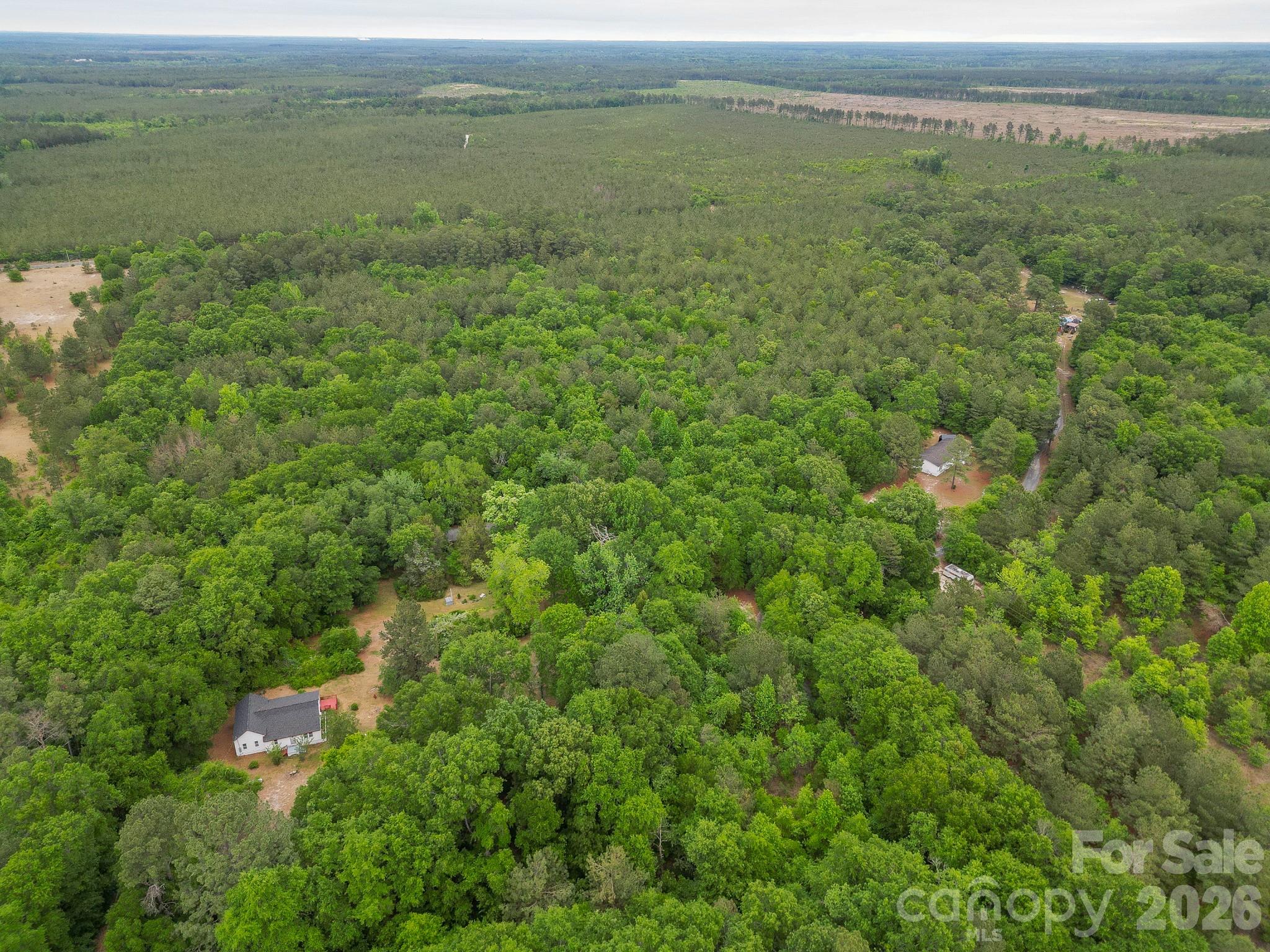 3133 Magnolia Road Bennettsville, SC 29512 - Photo 34 of 41 a view of a field with an ocean view