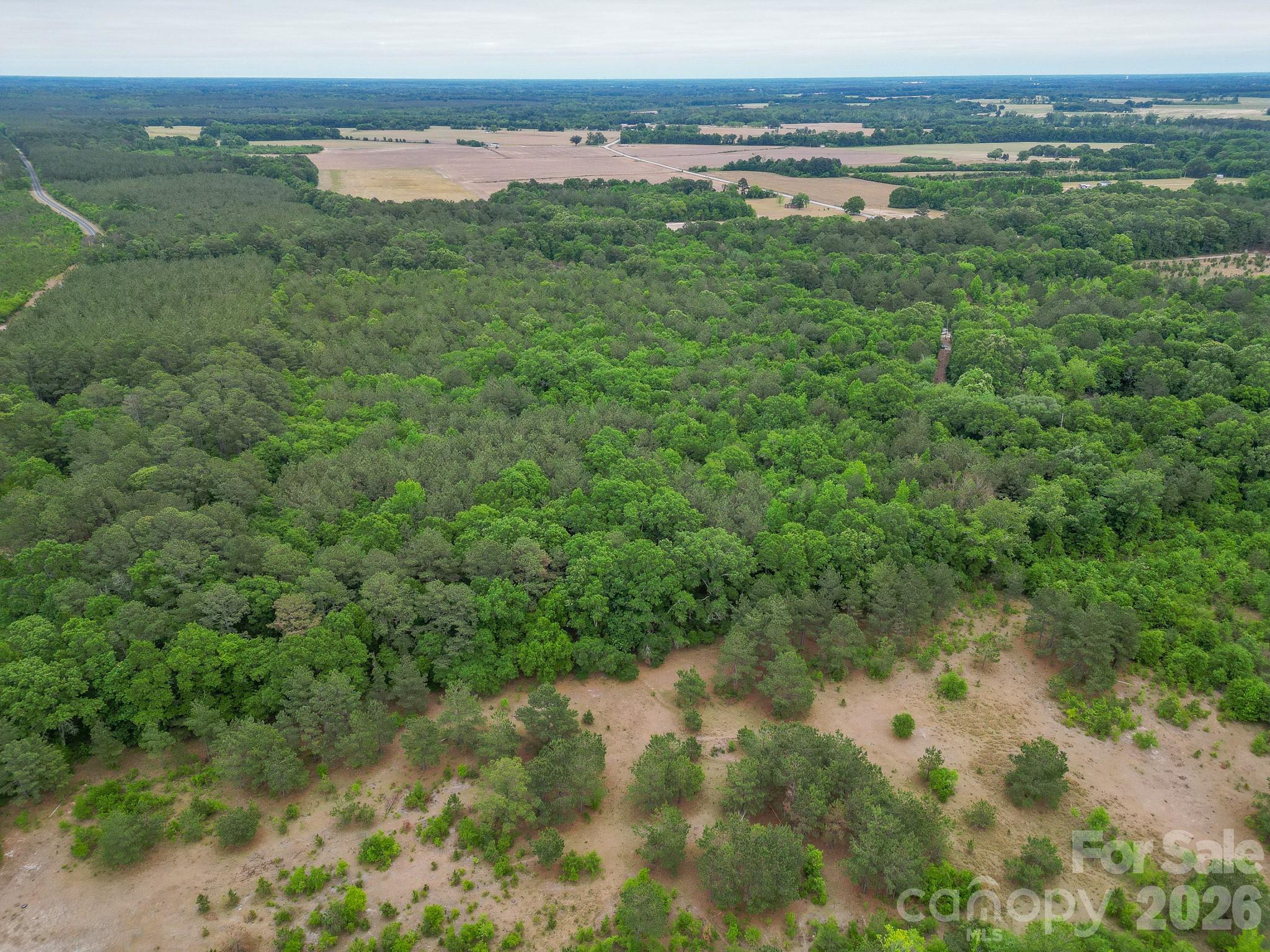 3133 Magnolia Road Bennettsville, SC 29512 - Photo 39 of 41 a view of a lush green forest with lots of trees
