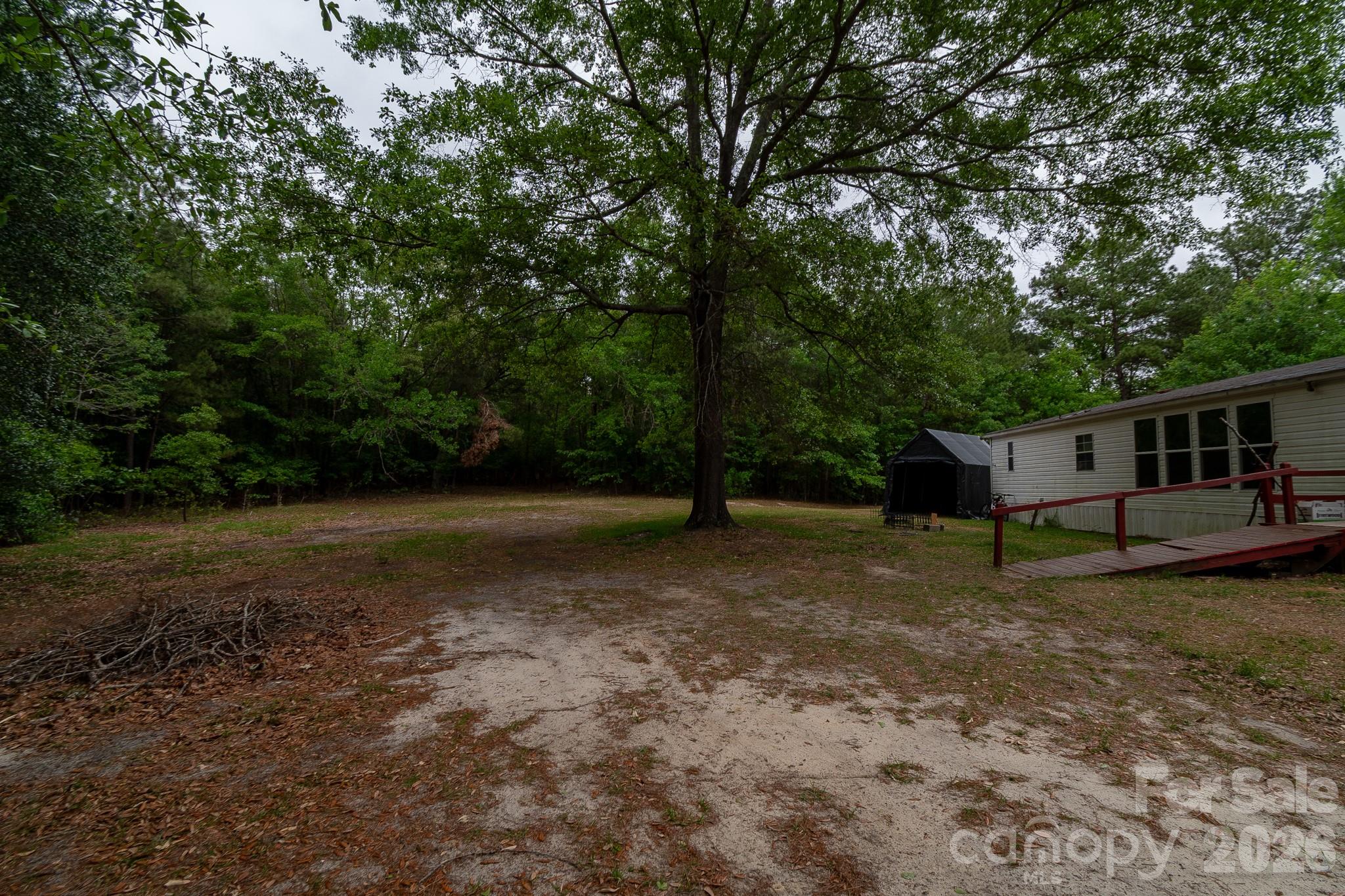 3133 Magnolia Road Bennettsville, SC 29512 - Photo 5 of 41 a backyard of a house