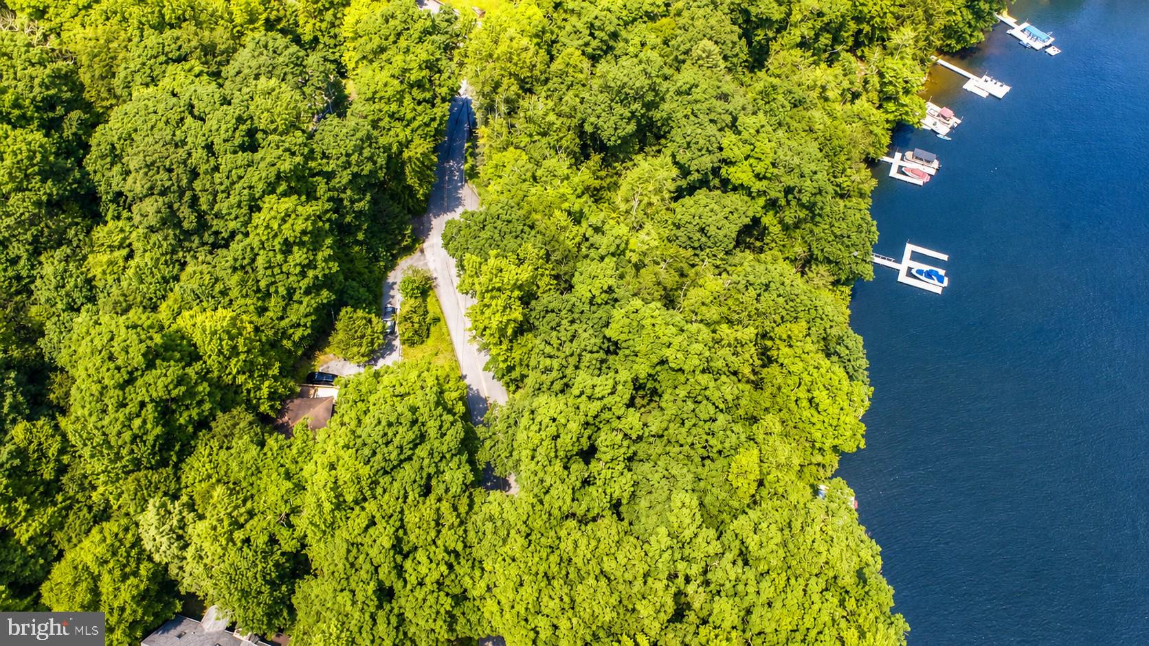 2153 Rock Lodge Road McHenry, MD 21541 - Photo 61 of 80 Lush greenery meets tranquil waters.