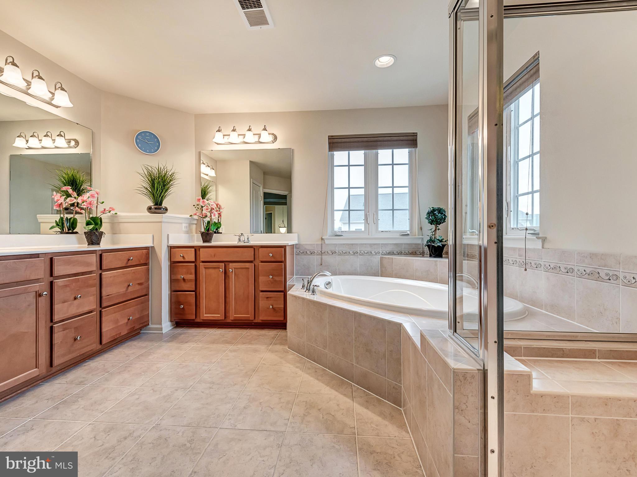 9159 Bealls Farm Road Frederick, MD 21704 - Photo 15 of 30 Bath (Master)