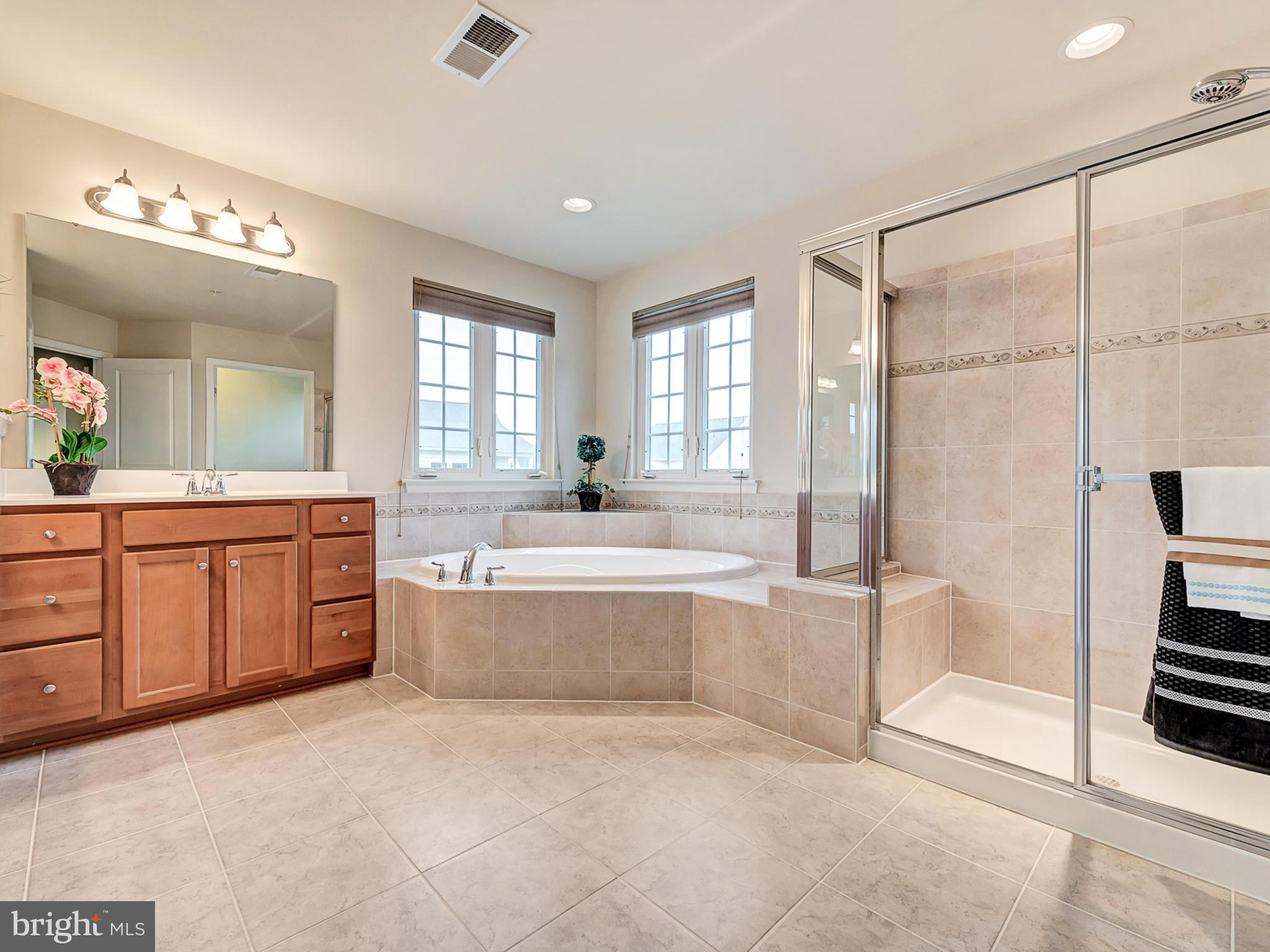9159 Bealls Farm Road Frederick, MD 21704 - Photo 16 of 30 Spa-like bath with soaking tub.