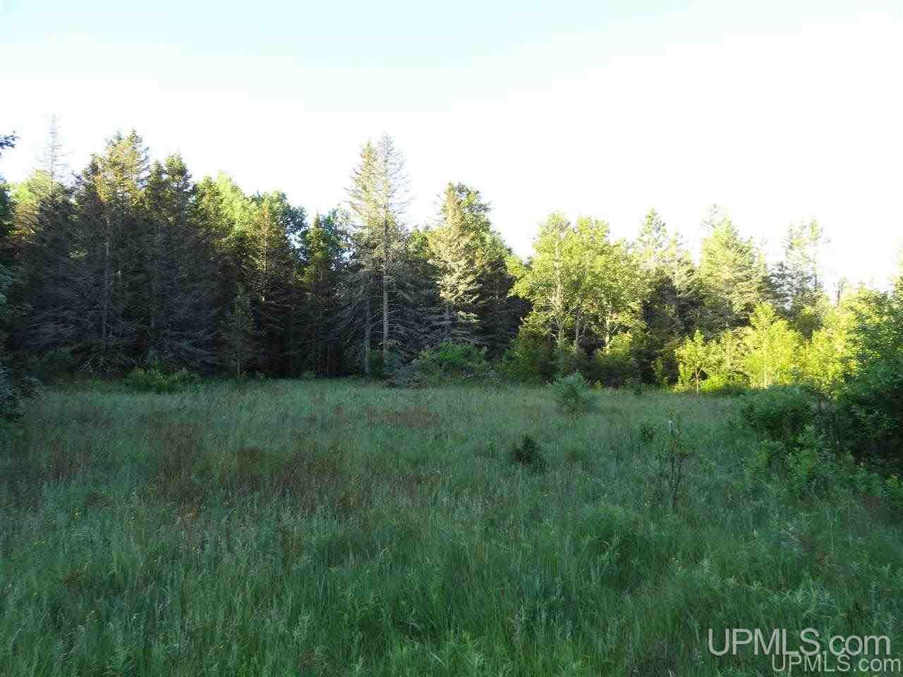 11918 T Road Rapid River, MI 49878 - Photo 9 of 49 Gallery Image 9