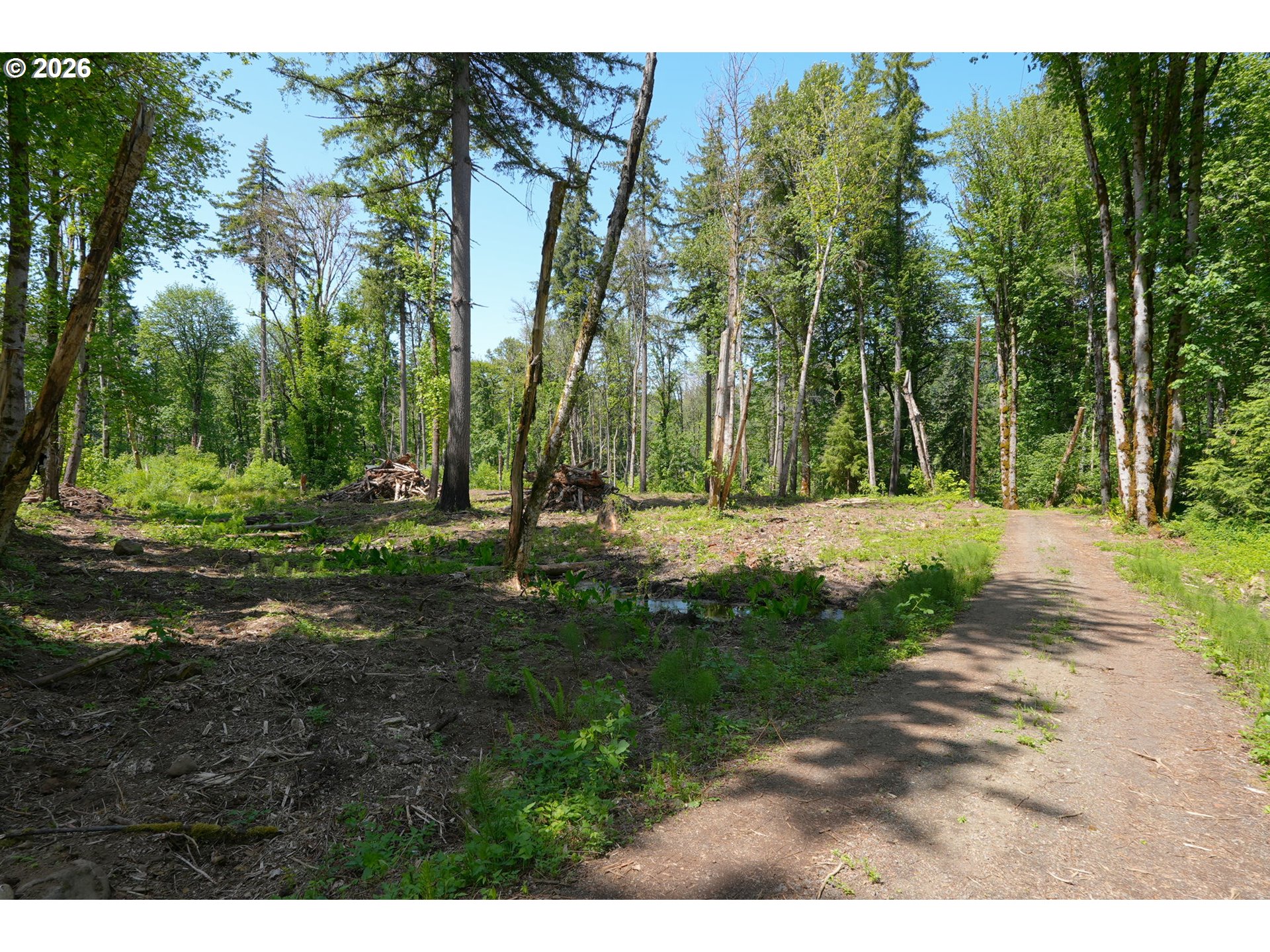 Goodpasture Road, Unit 1809 Vida, OR 97488 - Photo 7 of 24