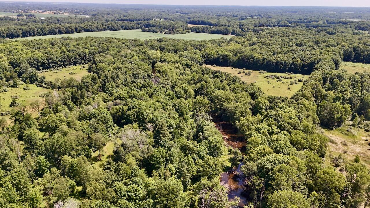 4718 Church Road Six Lakes, MI 48886 - Photo 1 of 76 001 (30)