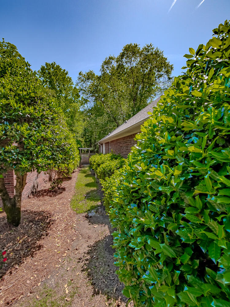 1265 Cutleaf Drive Sumter, SC 29150 - Photo 3 of 37