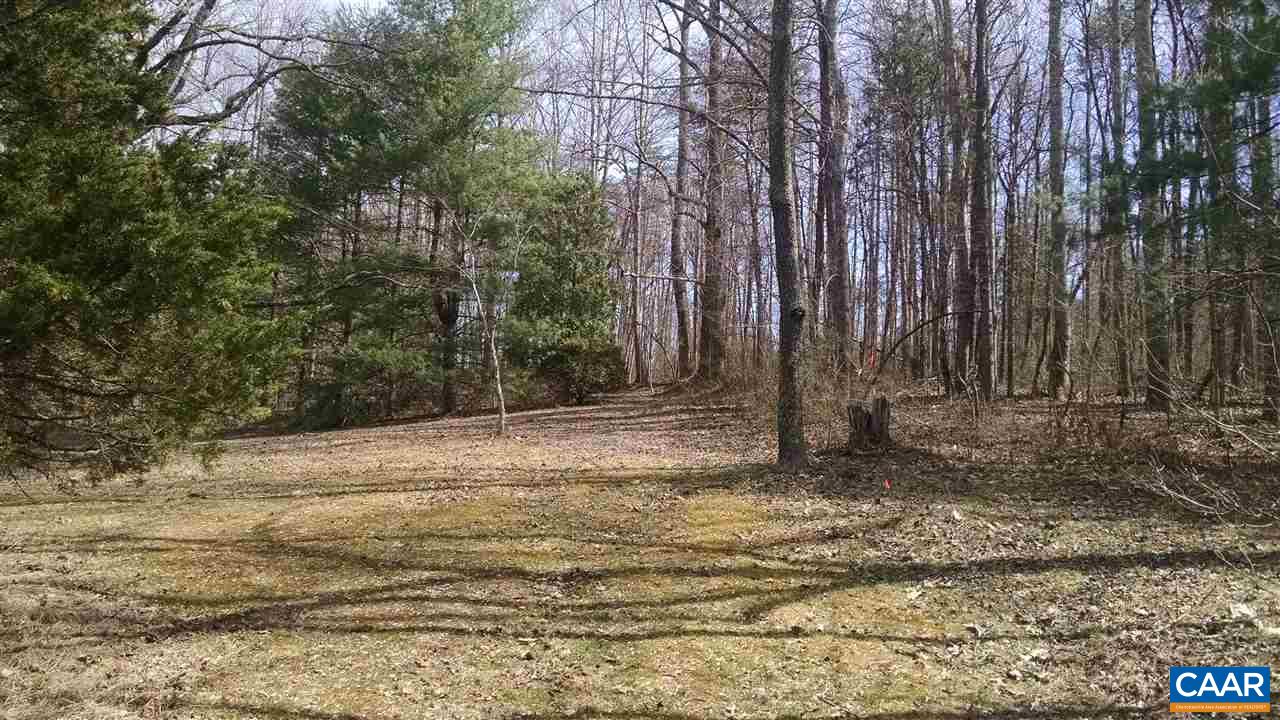 286 A Beazley Road Ruckersville, VA 22968 - Photo 7 of 10 a view of a backyard with trees