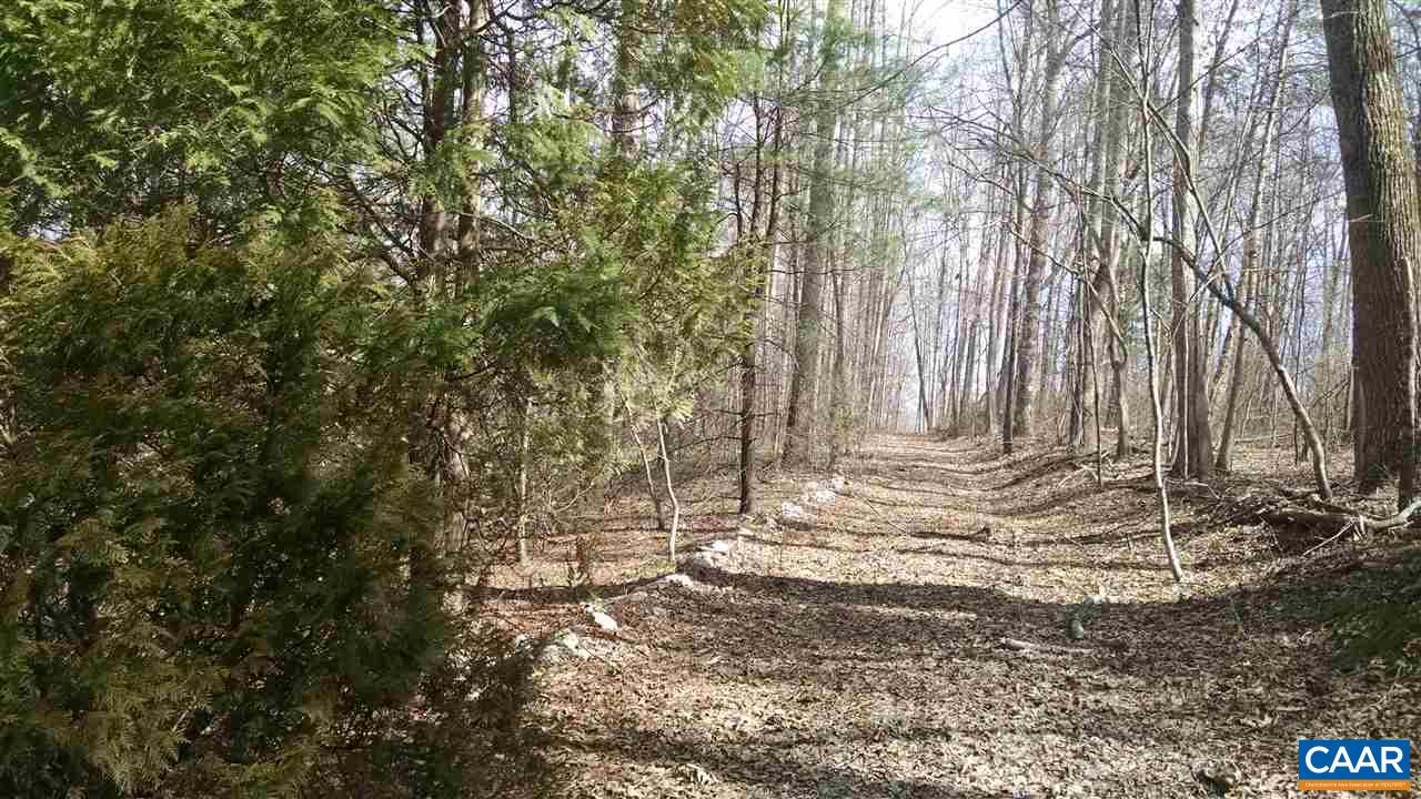 286 A Beazley Road Ruckersville, VA 22968 - Photo 8 of 10 a view of a house with large trees