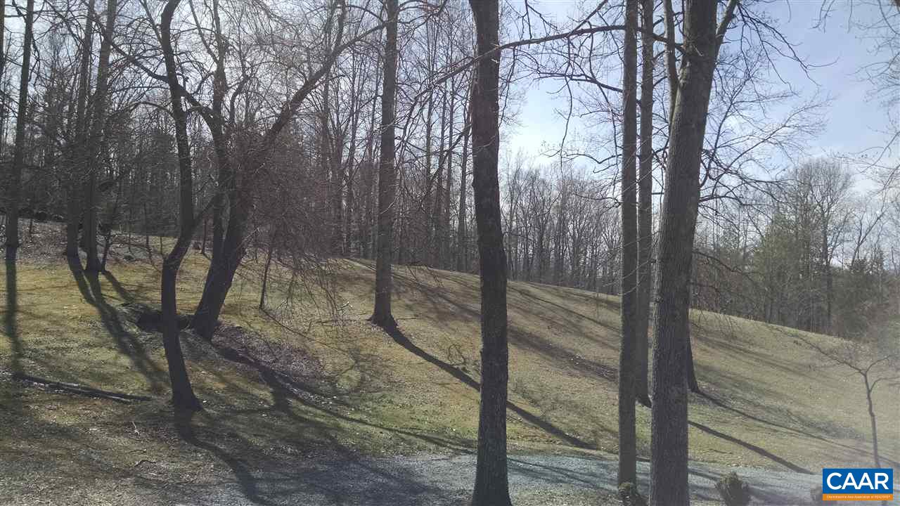 286 A Beazley Road Ruckersville, VA 22968 - Photo 10 of 10 a backyard of a house with lots of green space