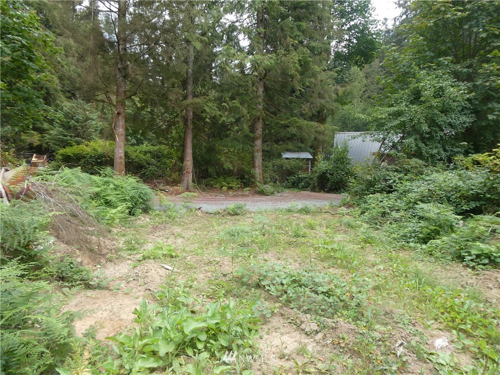52922 South Riverside Road Gold Bar, WA 98251 - Photo 2 of 9