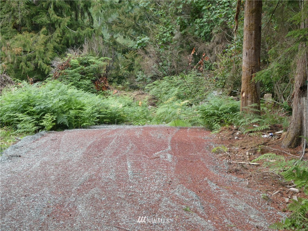 52922 South Riverside Road Gold Bar, WA 98251 - Photo 3 of 9