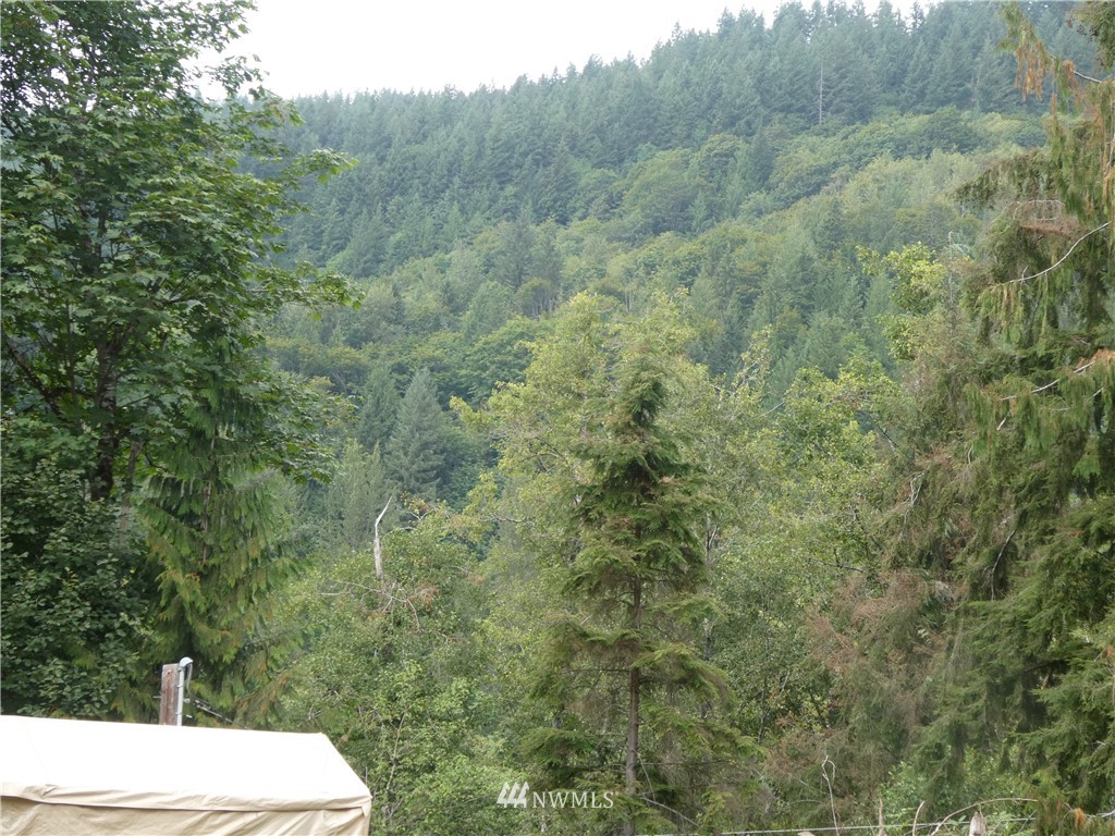 52922 South Riverside Road Gold Bar, WA 98251 - Photo 6 of 9