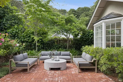 a view of a patio with couches and a potted plant on a table