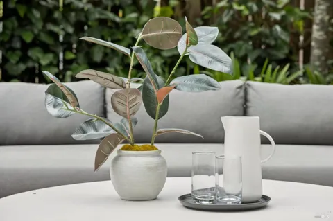 a view of a patio with couches table and chairs and potted plants