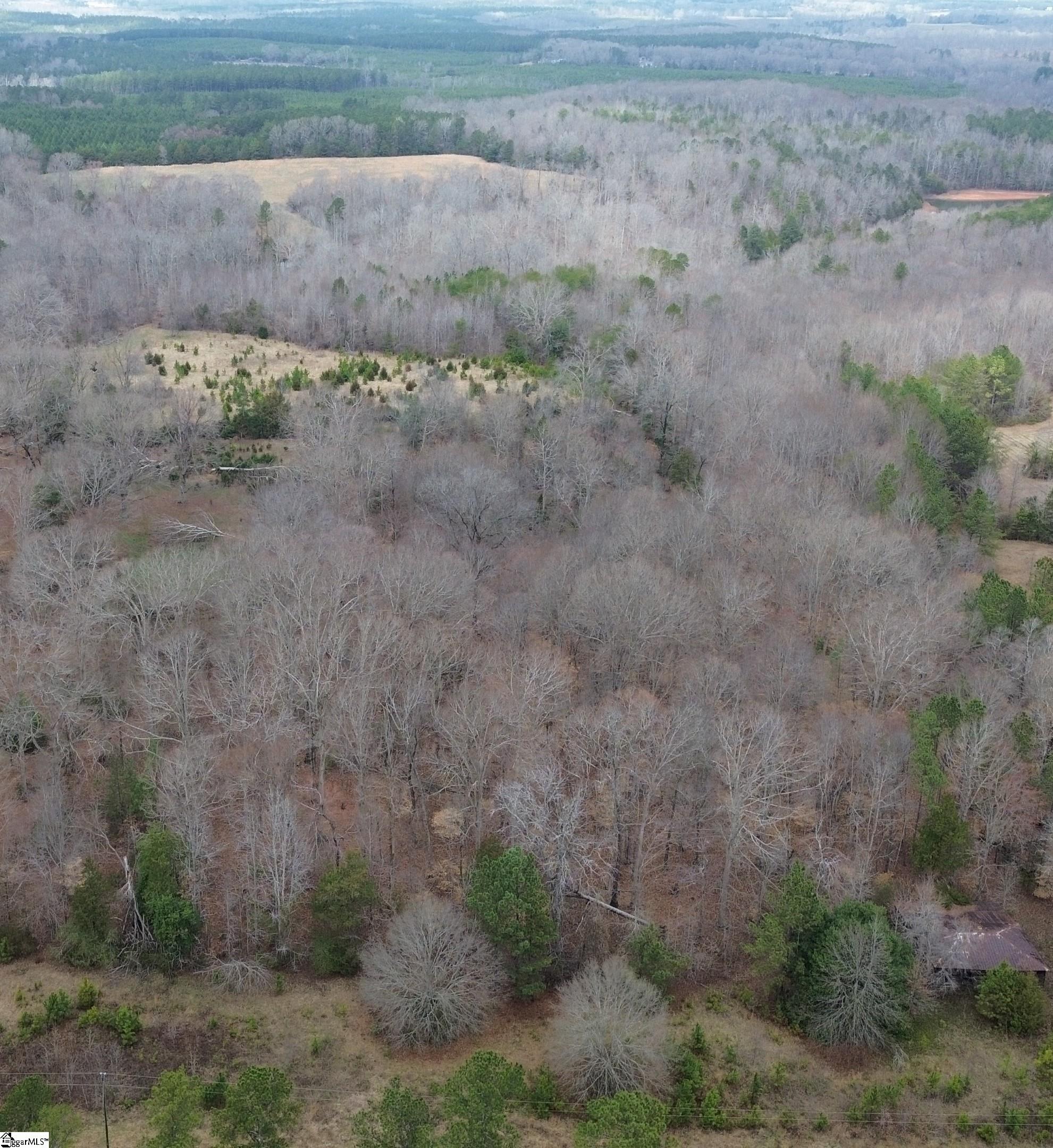 0 Pooletown Road Laurens, SC 29360 - Photo 11 of 14