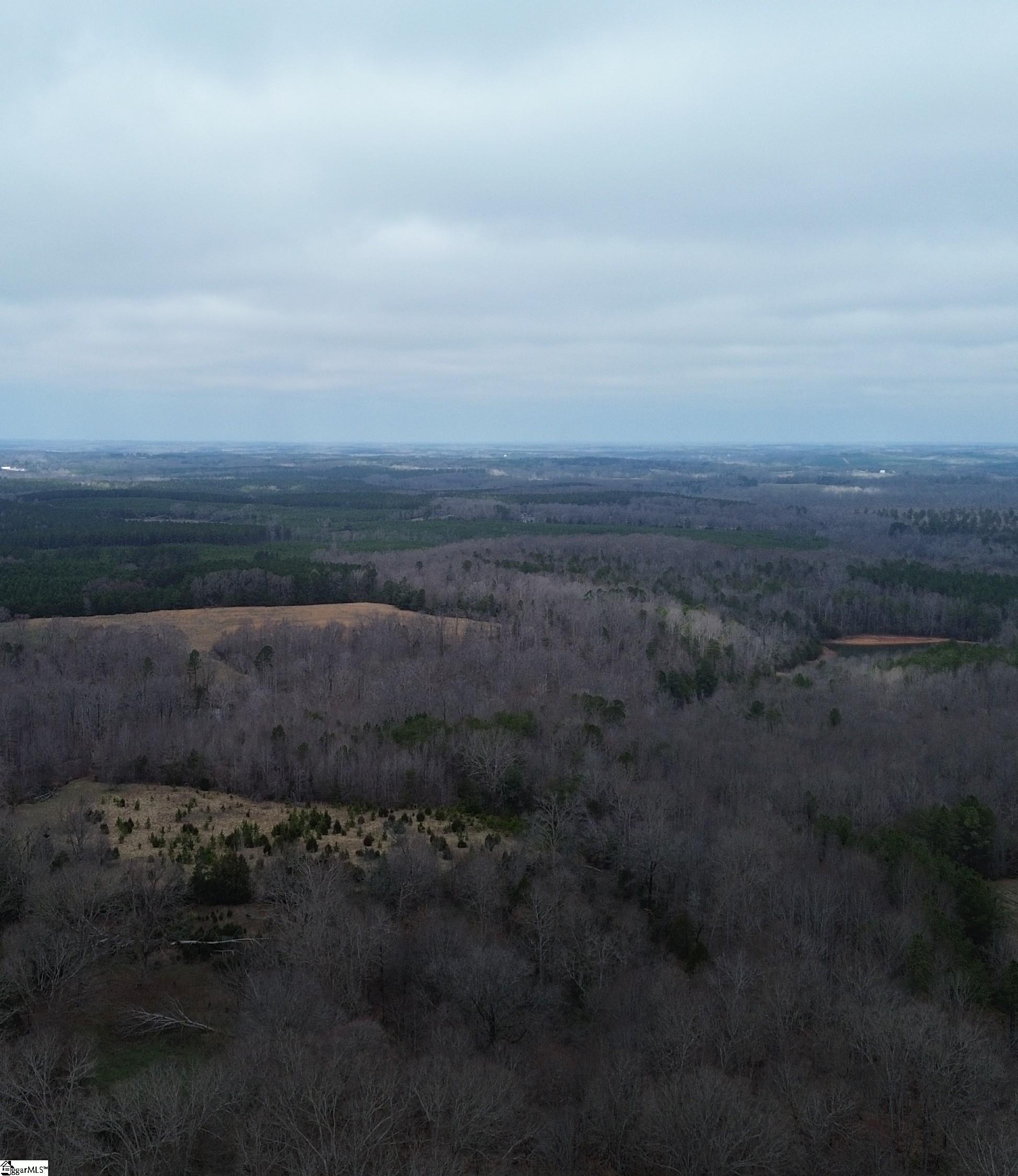 0 Pooletown Road Laurens, SC 29360 - Photo 13 of 14