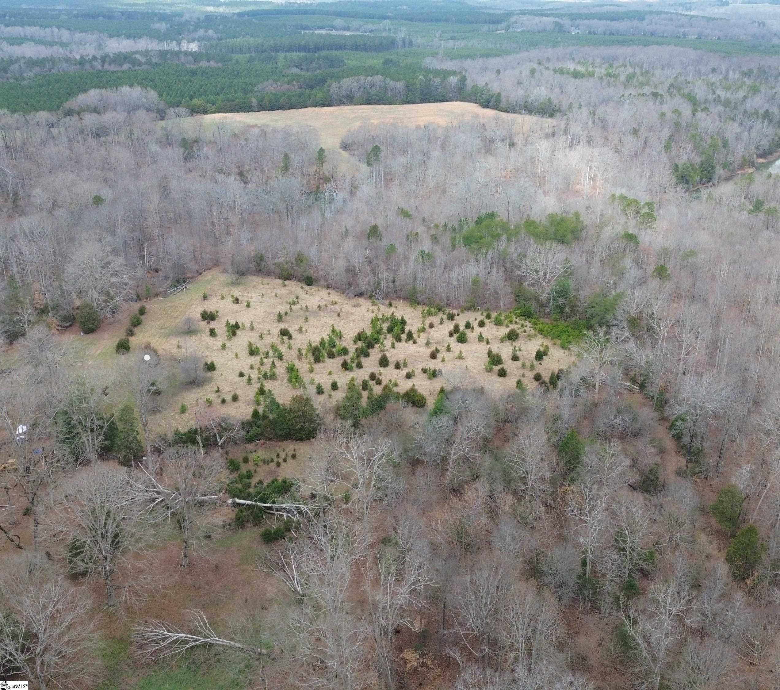 0 Pooletown Road Laurens, SC 29360 - Photo 2 of 14