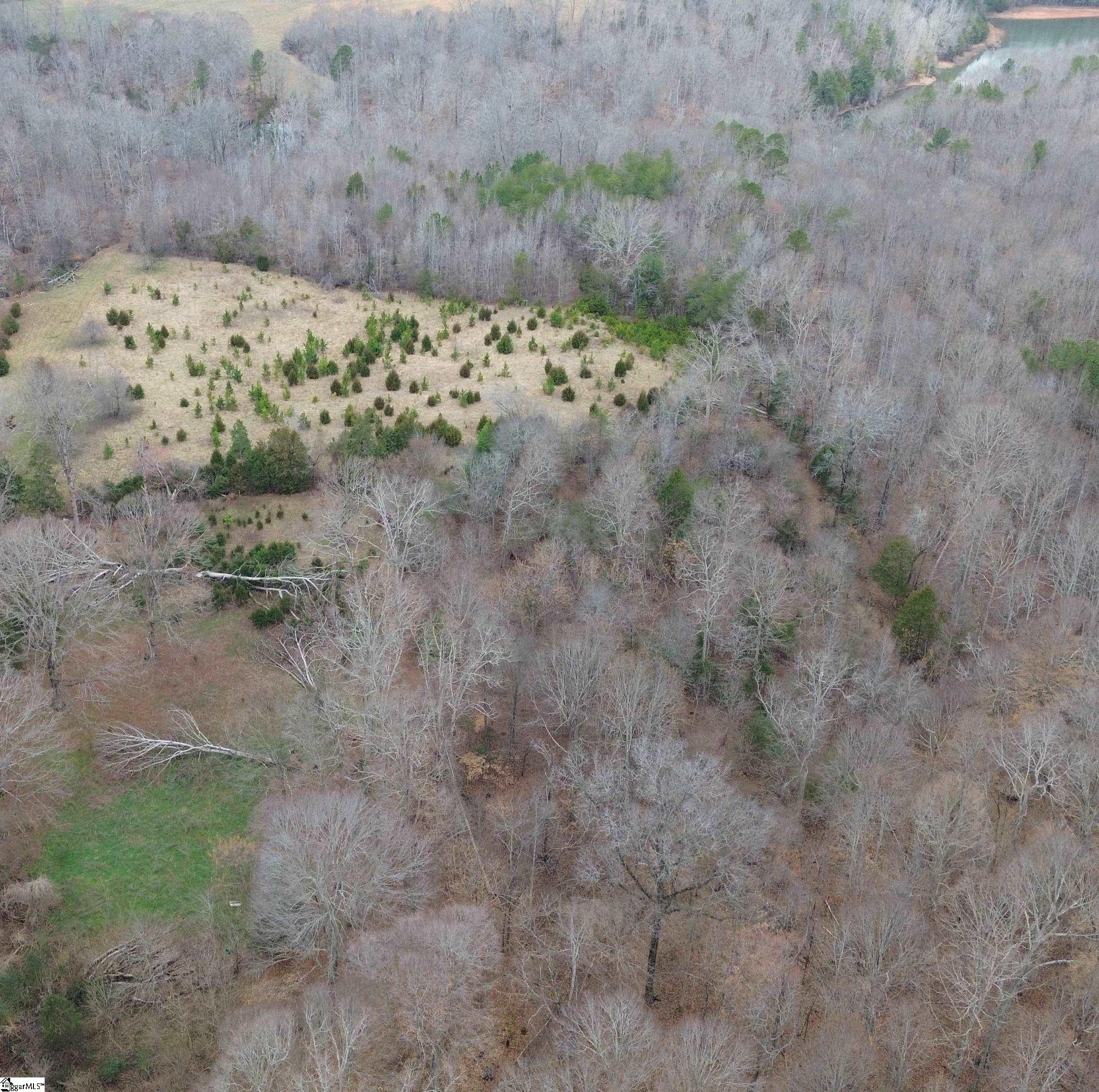 0 Pooletown Road Laurens, SC 29360 - Photo 3 of 14