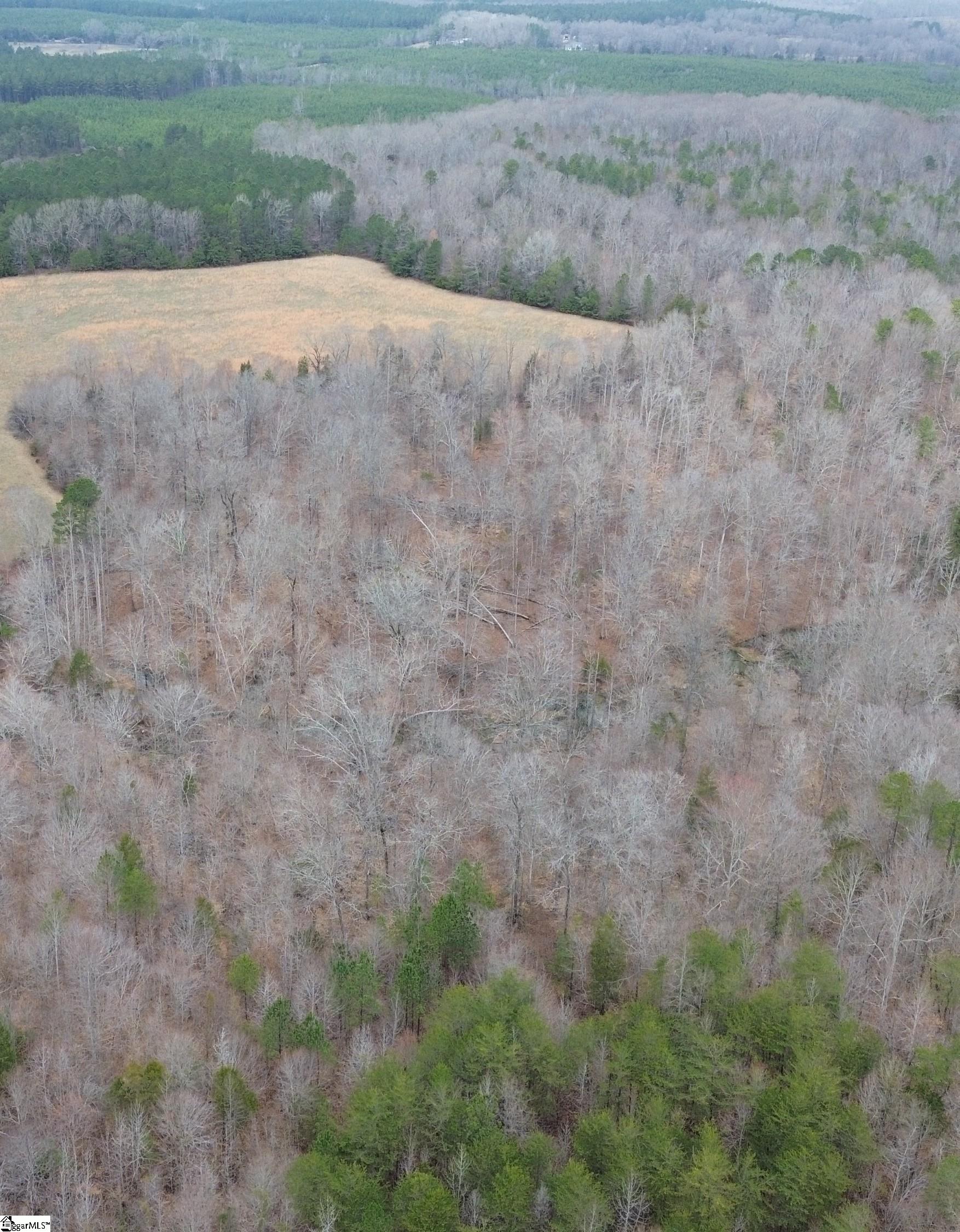 0 Pooletown Road Laurens, SC 29360 - Photo 4 of 14