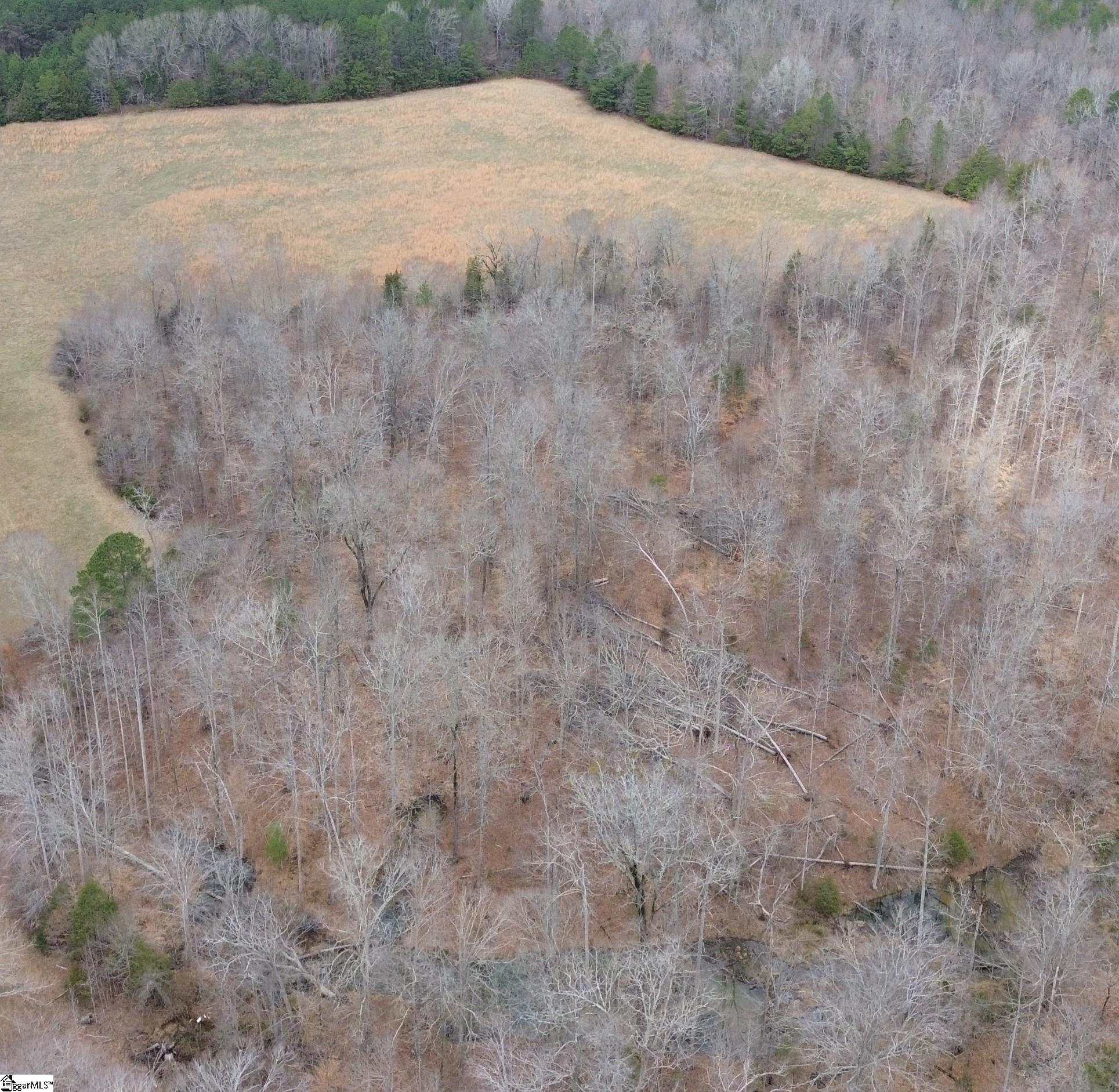0 Pooletown Road Laurens, SC 29360 - Photo 5 of 14