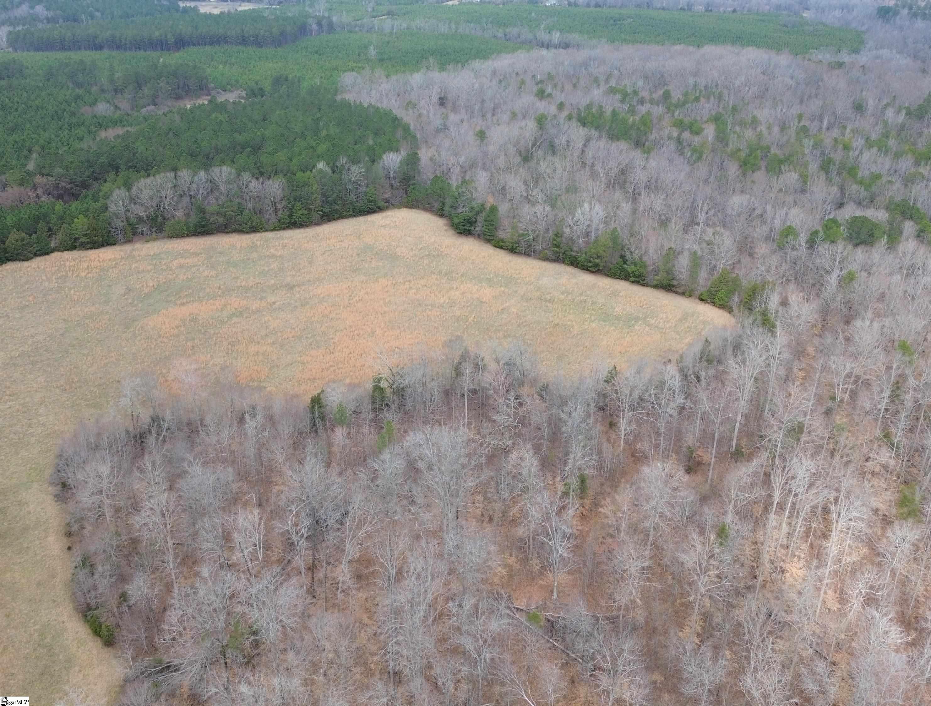 0 Pooletown Road Laurens, SC 29360 - Photo 6 of 14