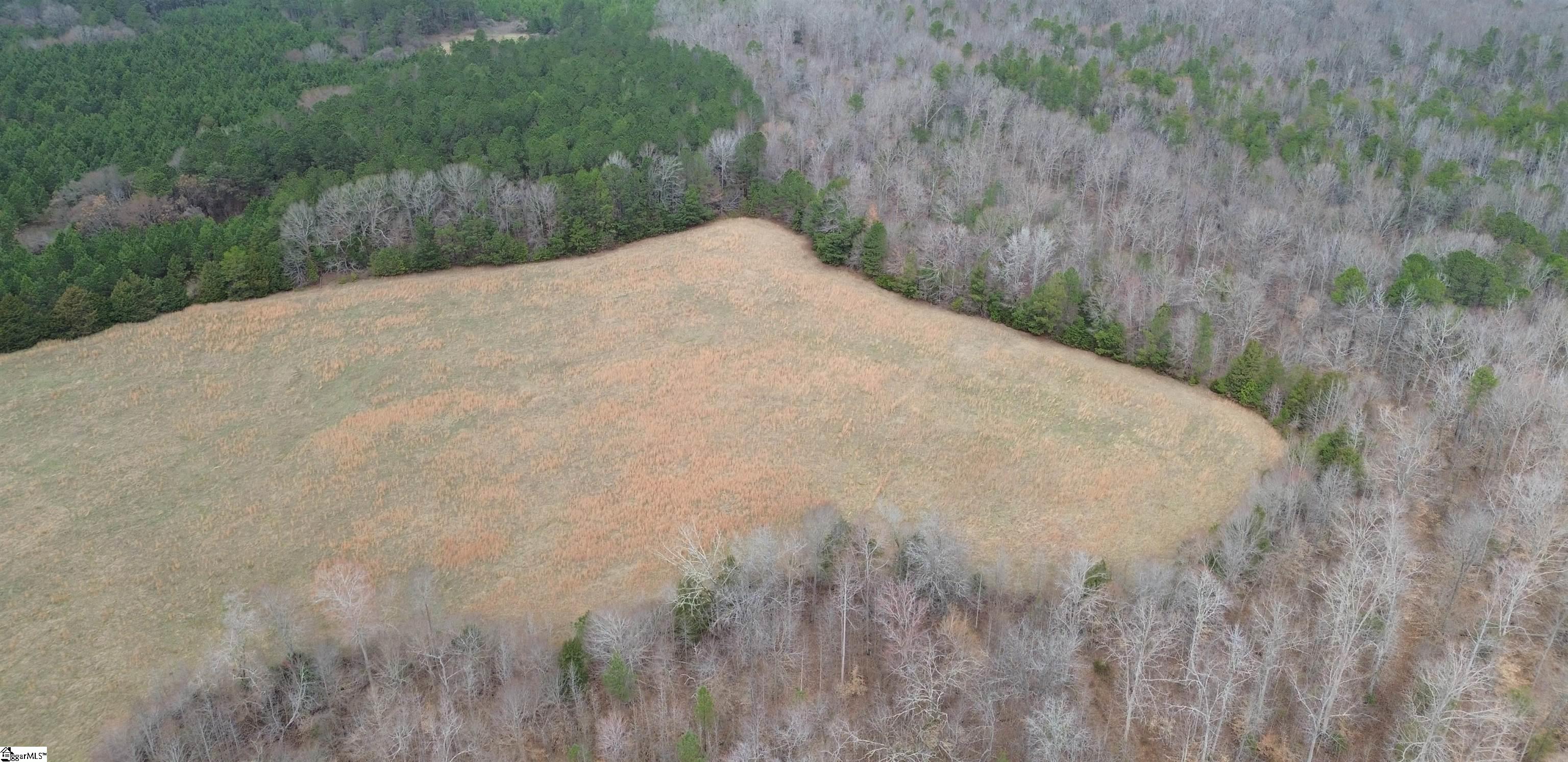 0 Pooletown Road Laurens, SC 29360 - Photo 7 of 14