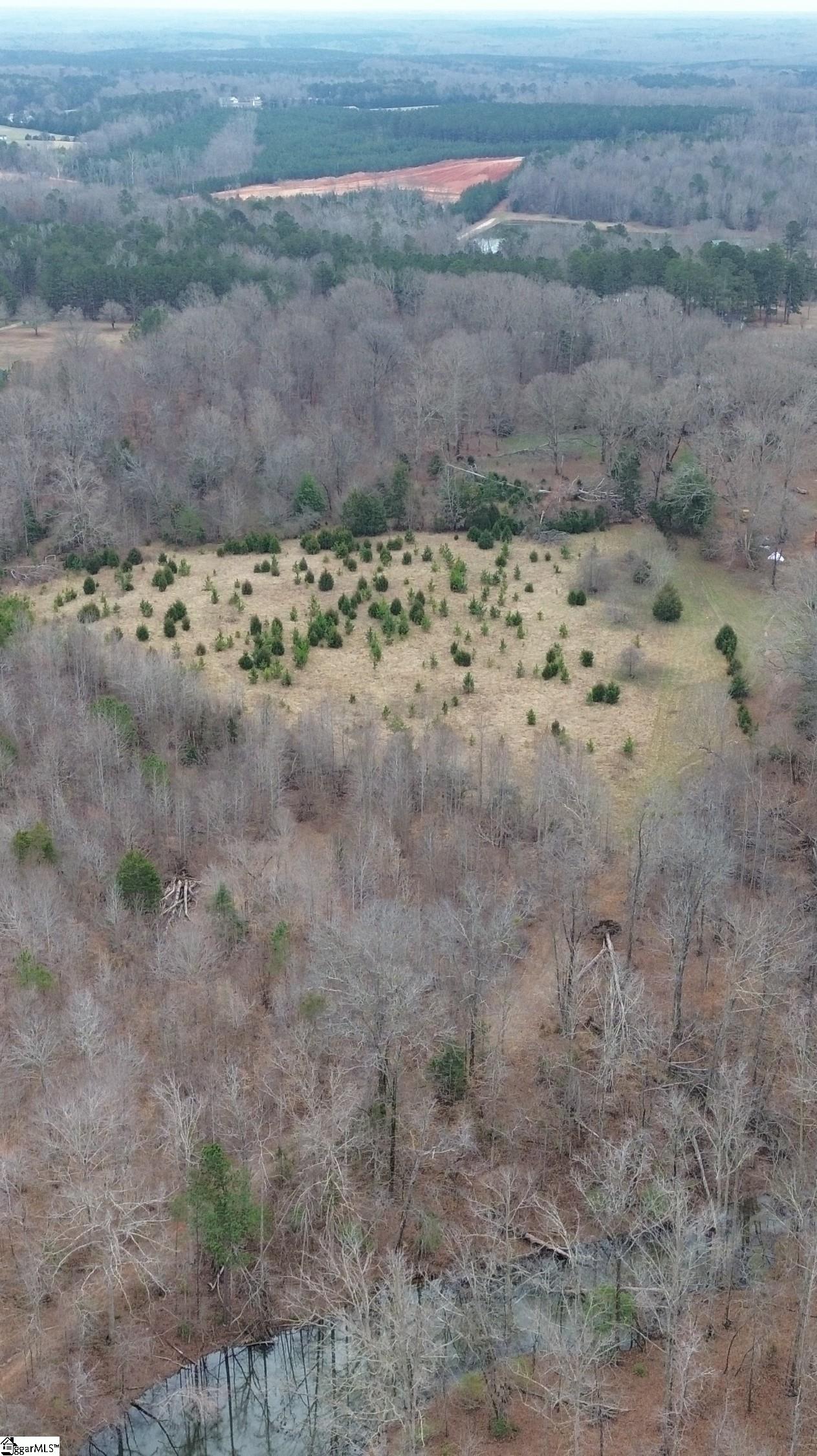 0 Pooletown Road Laurens, SC 29360 - Photo 8 of 14