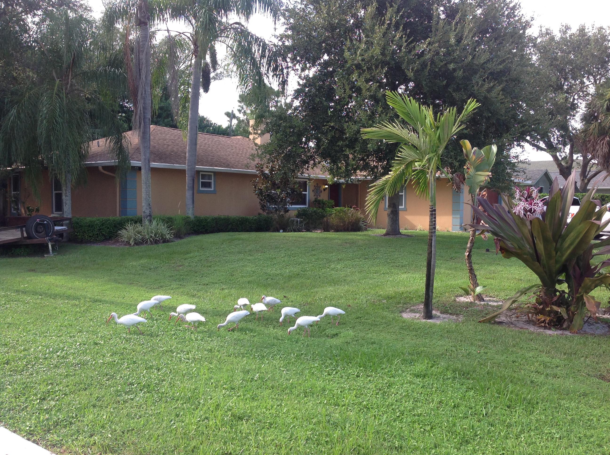 904 Pompano Drive Jupiter, FL 33458 - Photo 1 of 23 Exterior Front