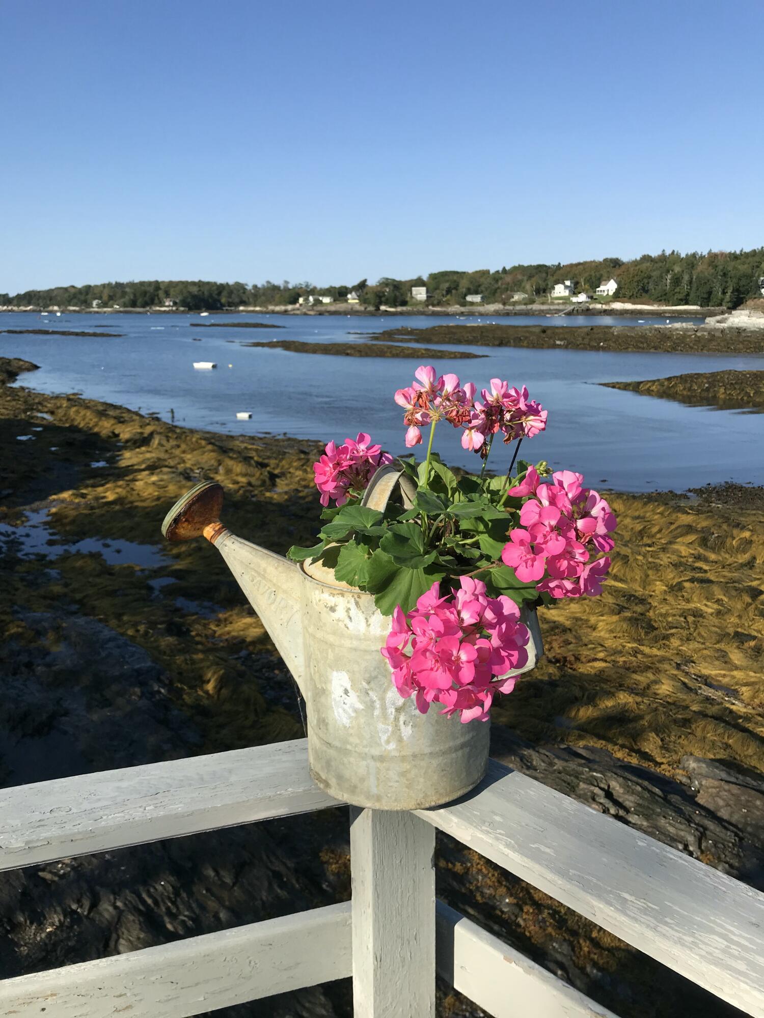 195 Beach Road Portland, ME 04019 - Photo 63 of 64 IMG_8323