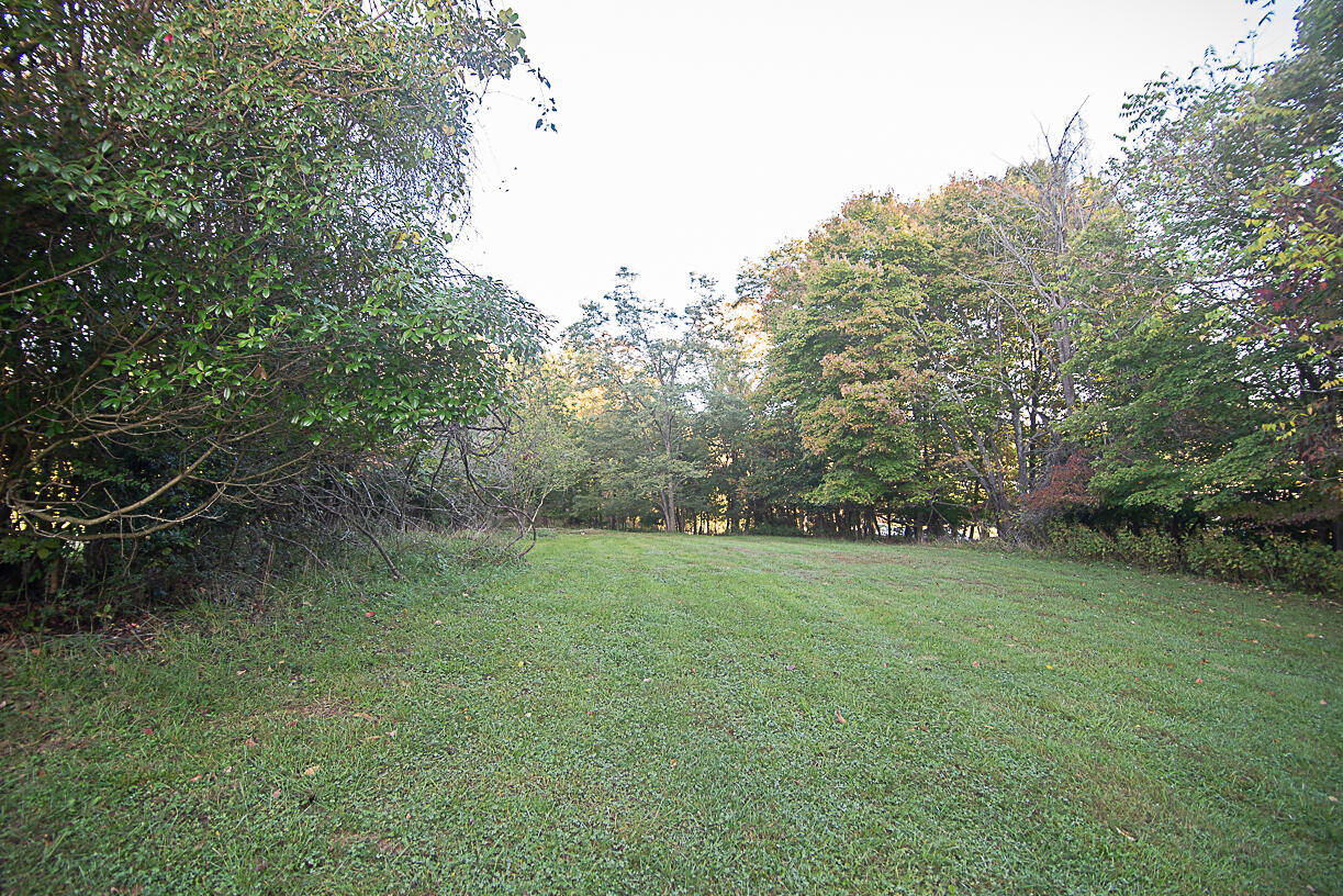 1376 Morewood Road Hardy, VA 24101 - Photo 25 of 43 _DSC2478